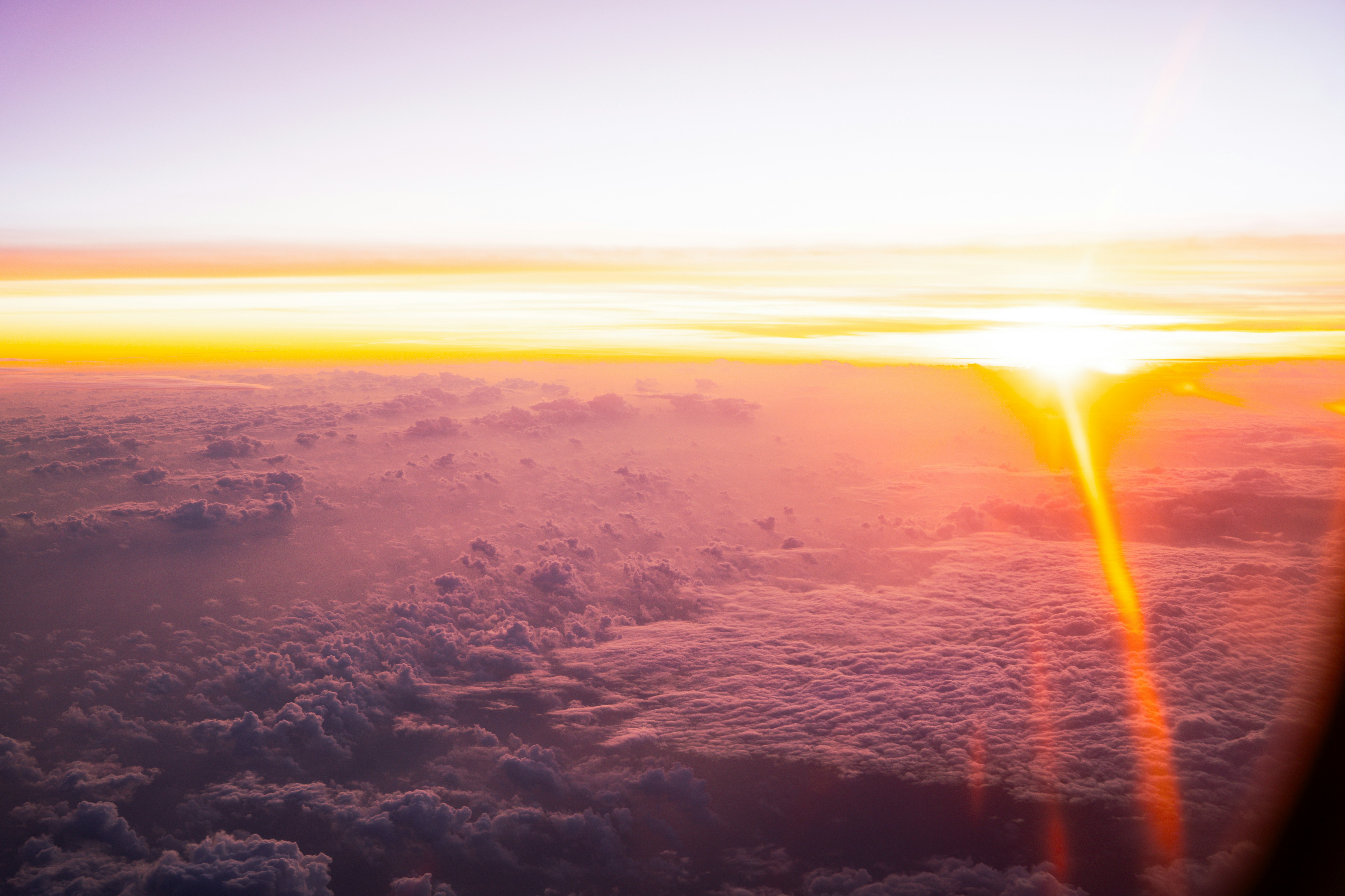 Photo by niko_nguyen_10