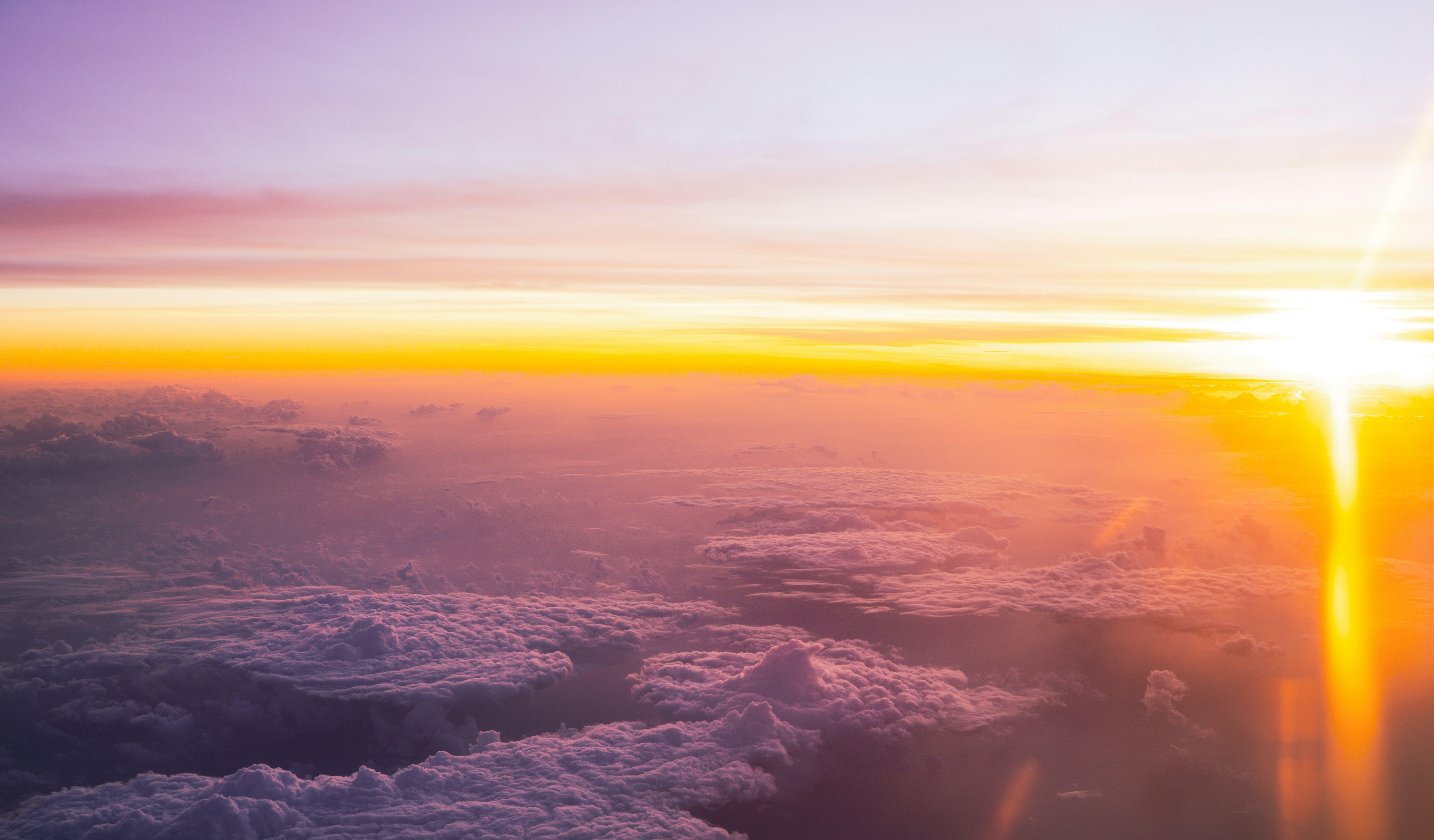 Photo by niko_nguyen_10