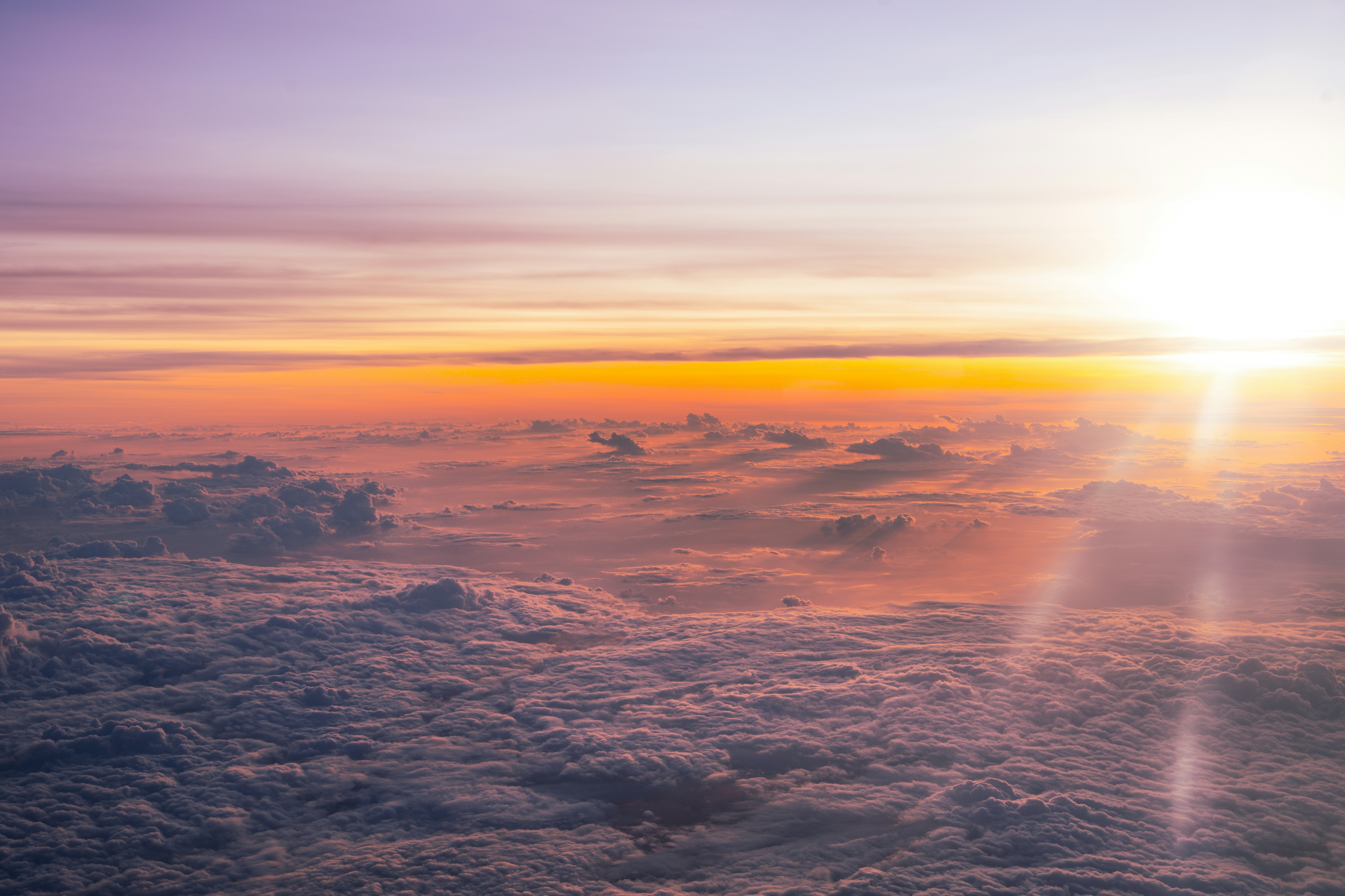 Photo by niko_nguyen_10