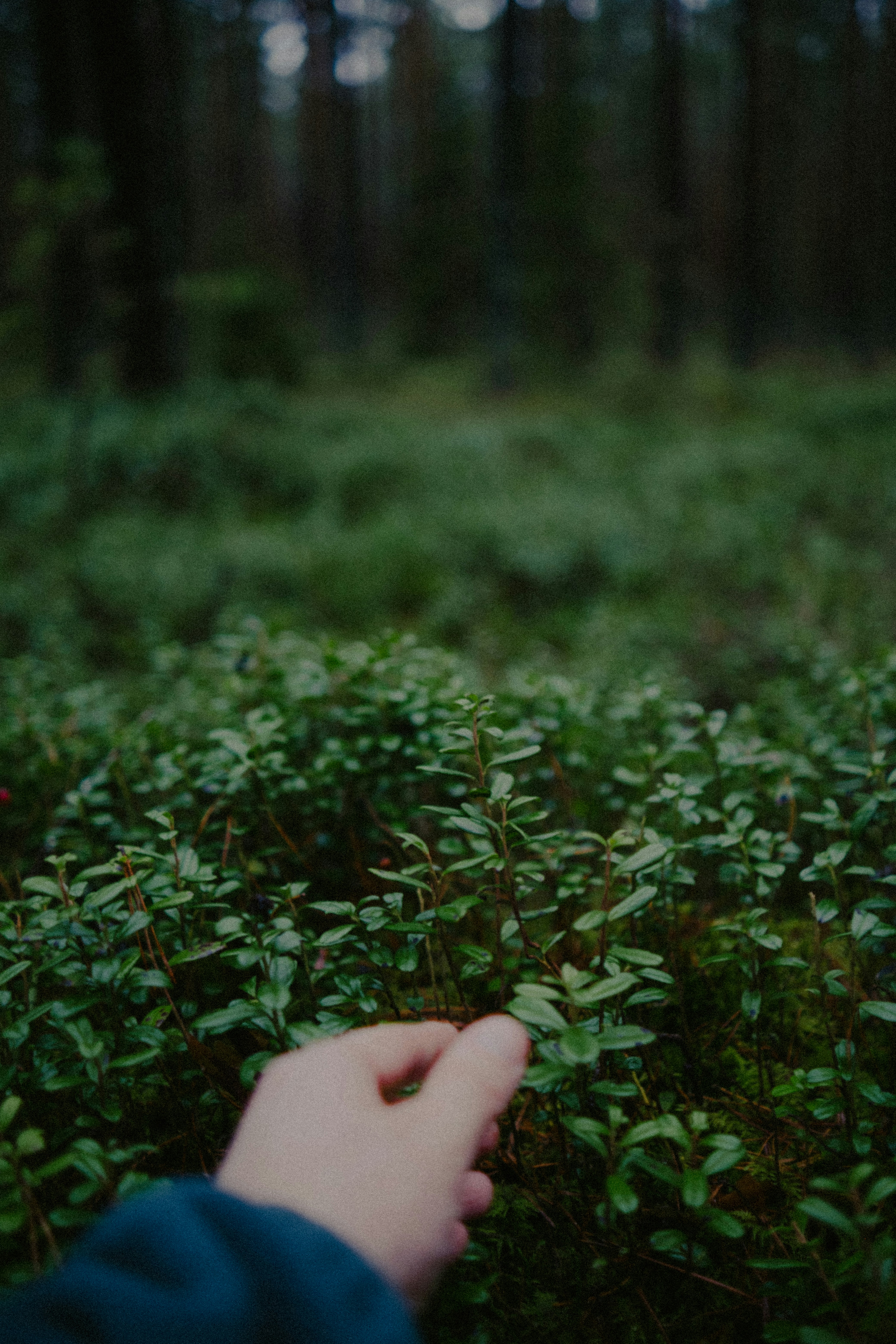 Photo by potokvarte