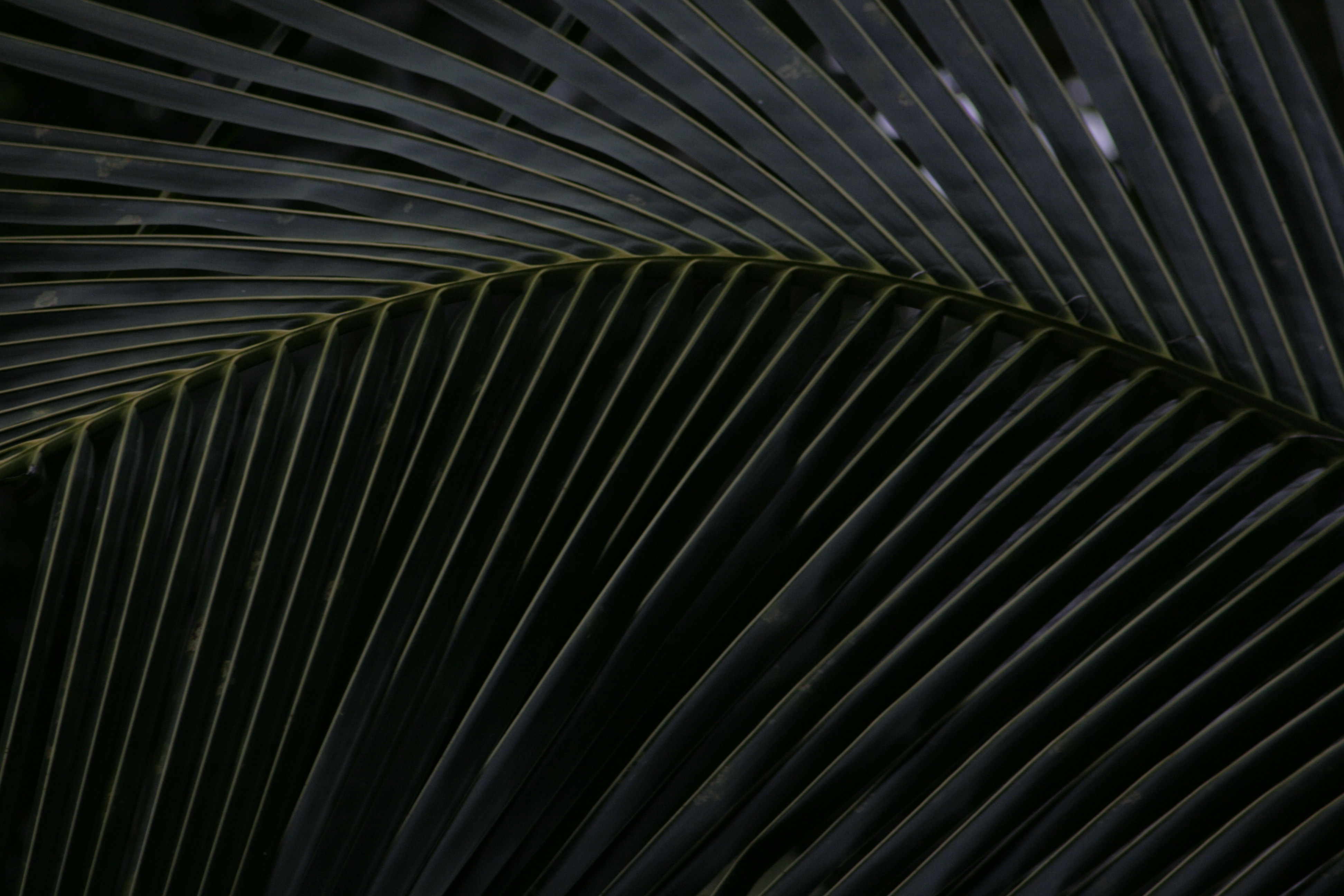 Photo by dinisuru2009