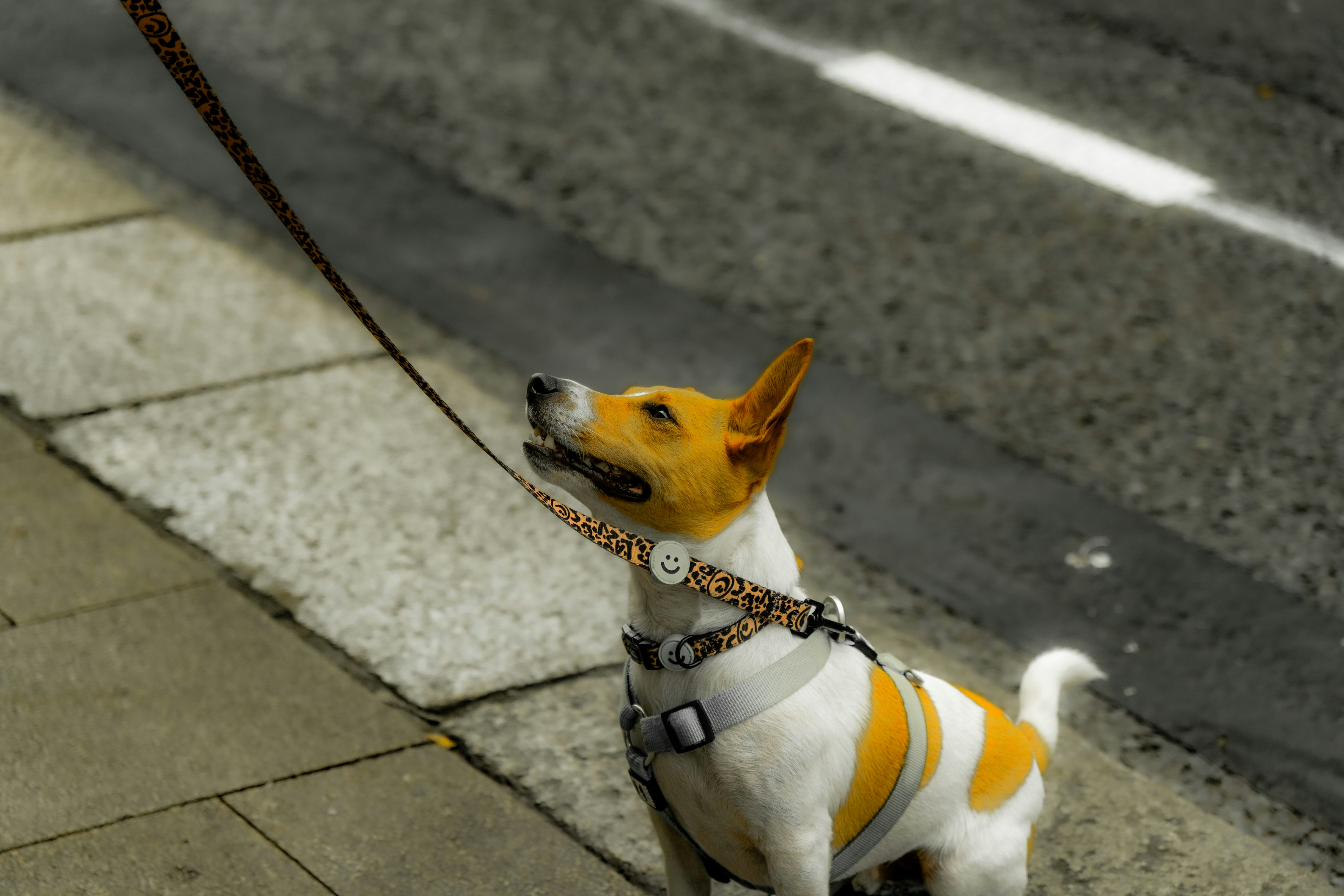 Photo by atelierbyvineeth