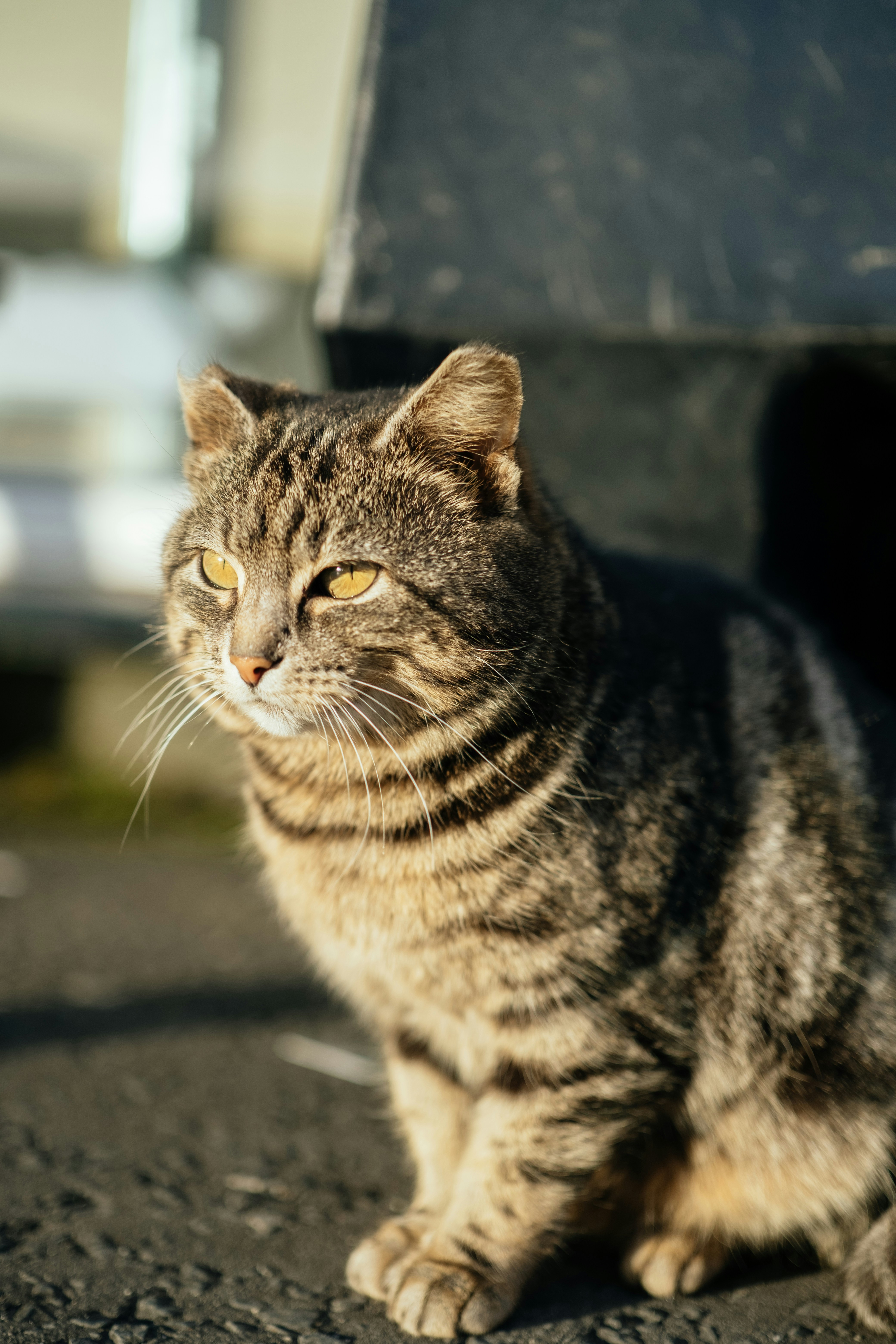 Photo by atelierbyvineeth