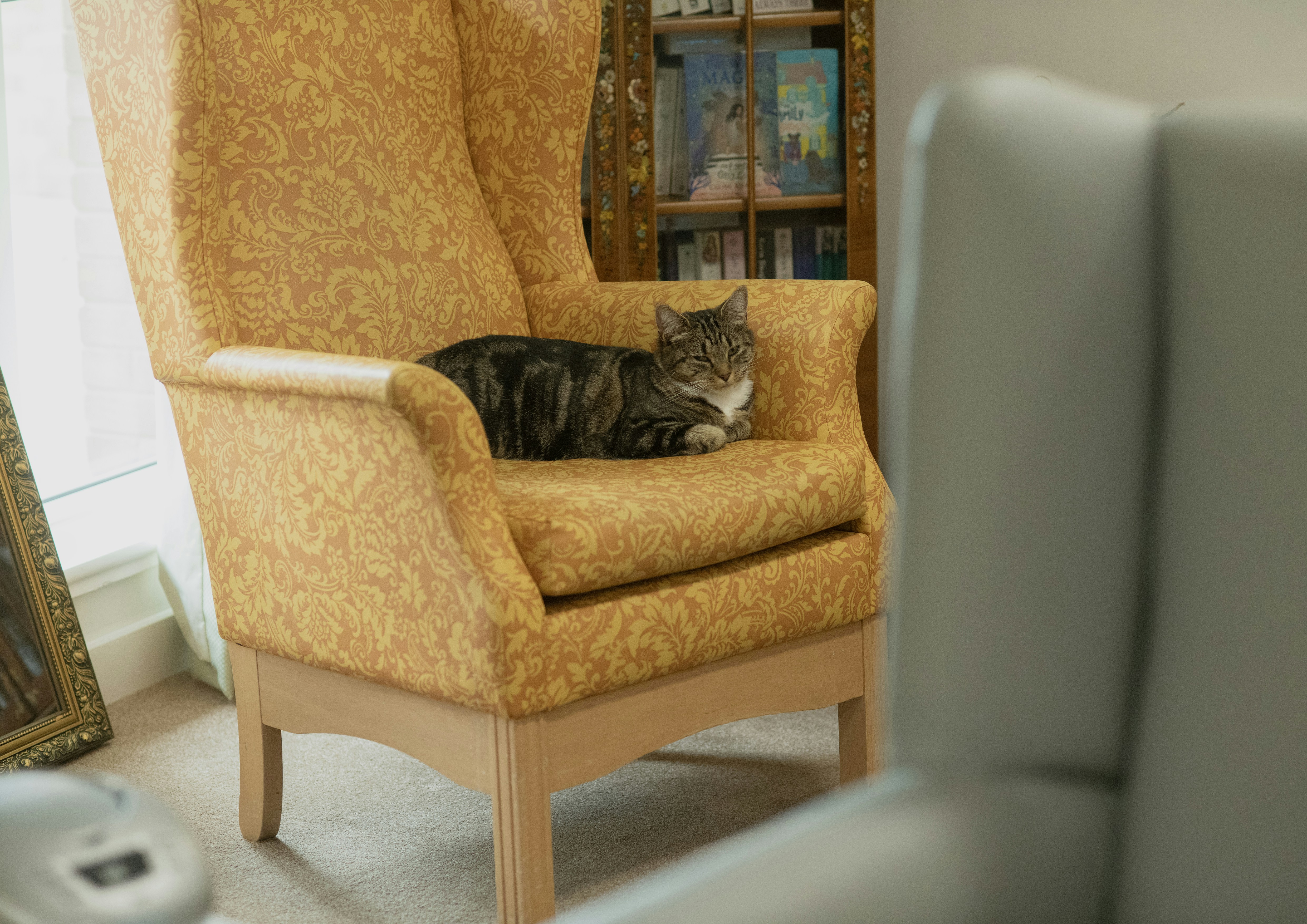 A tabby cat rests on a yellow patterned armchair.