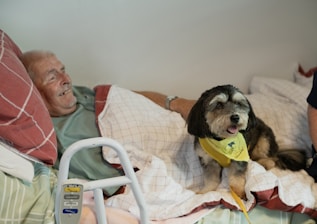Elderly man and dog in bed
