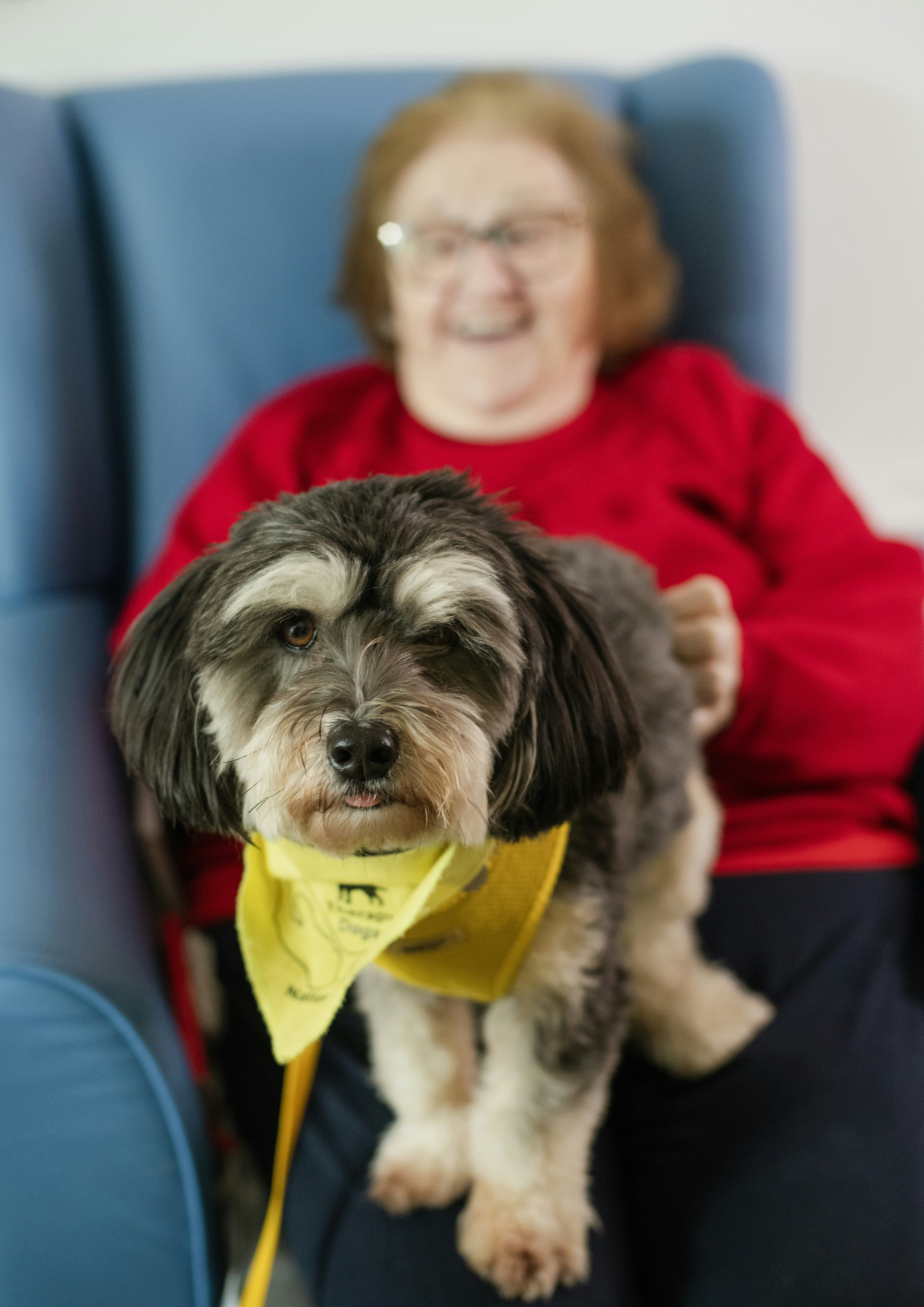 Elderly woman with a small dog on her lap.