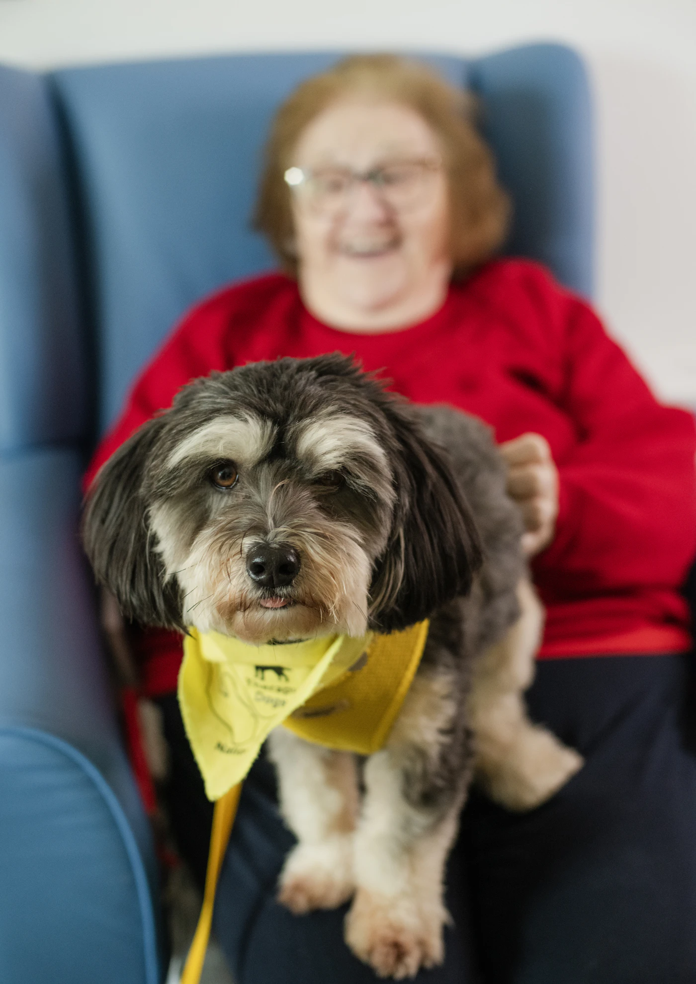 An older woman smiling with a small fluffy dog resting on her lap indoors in a warm sitting room
