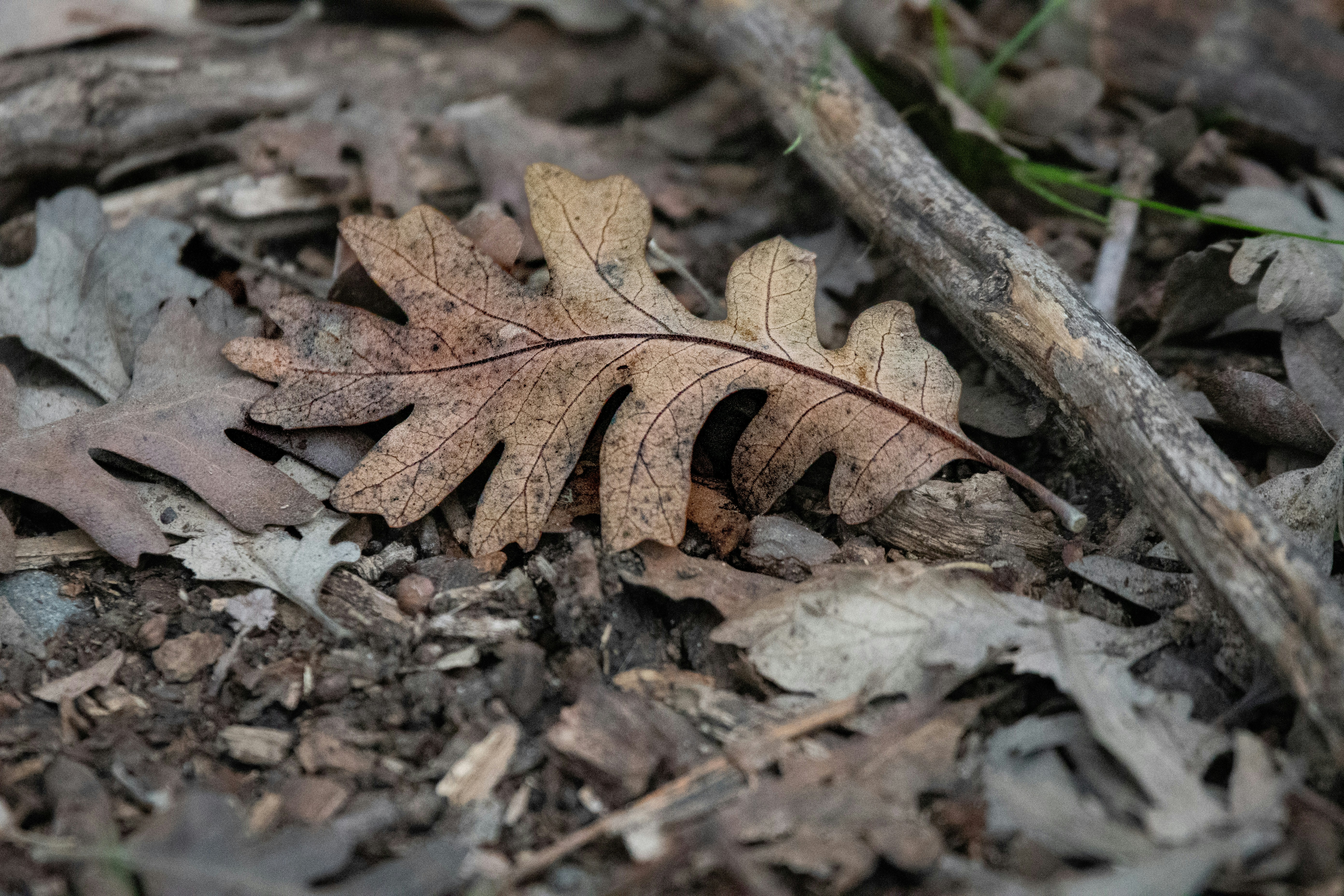 Photo by elisastonephotography