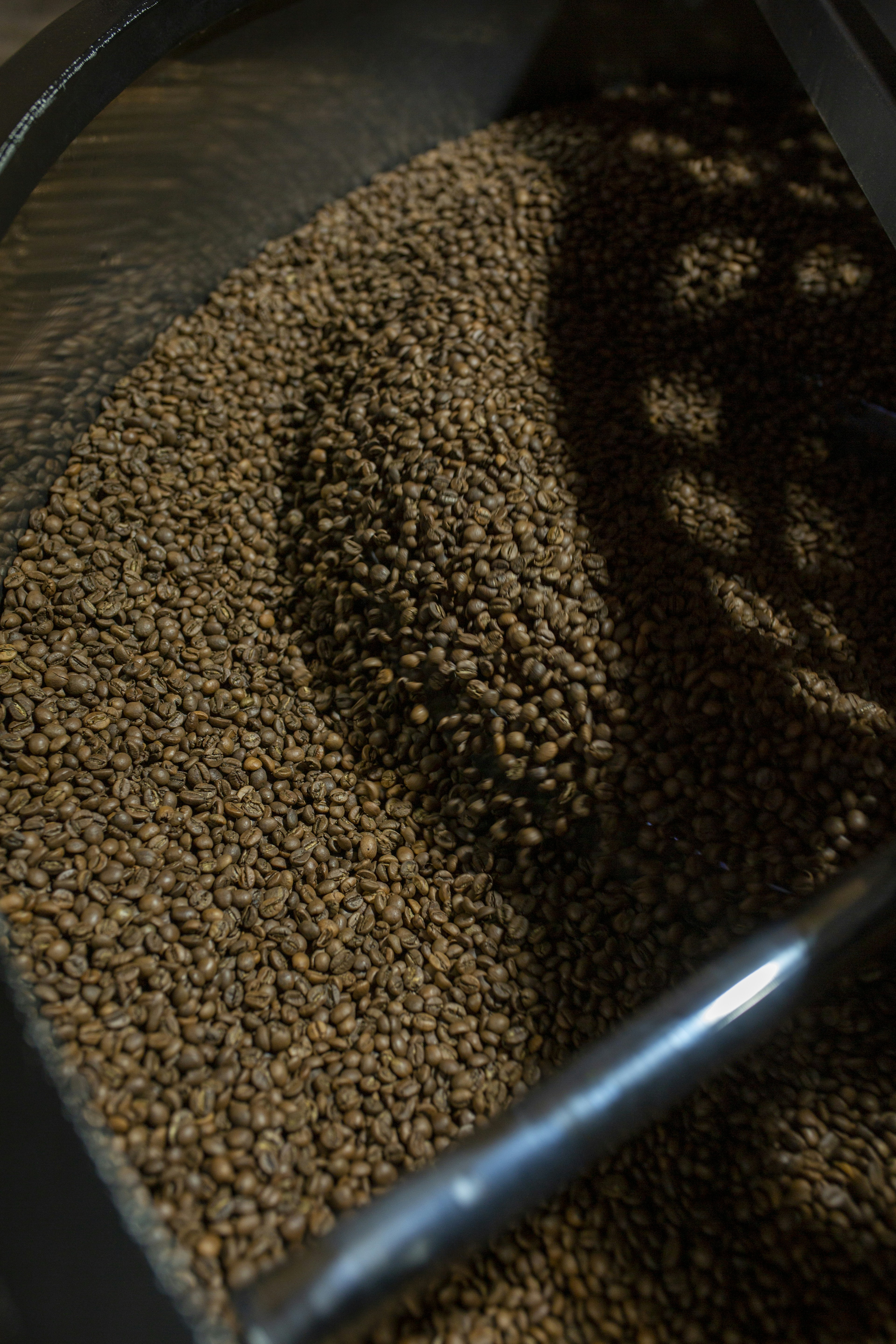 Coffee beans tumbling in a roaster machine