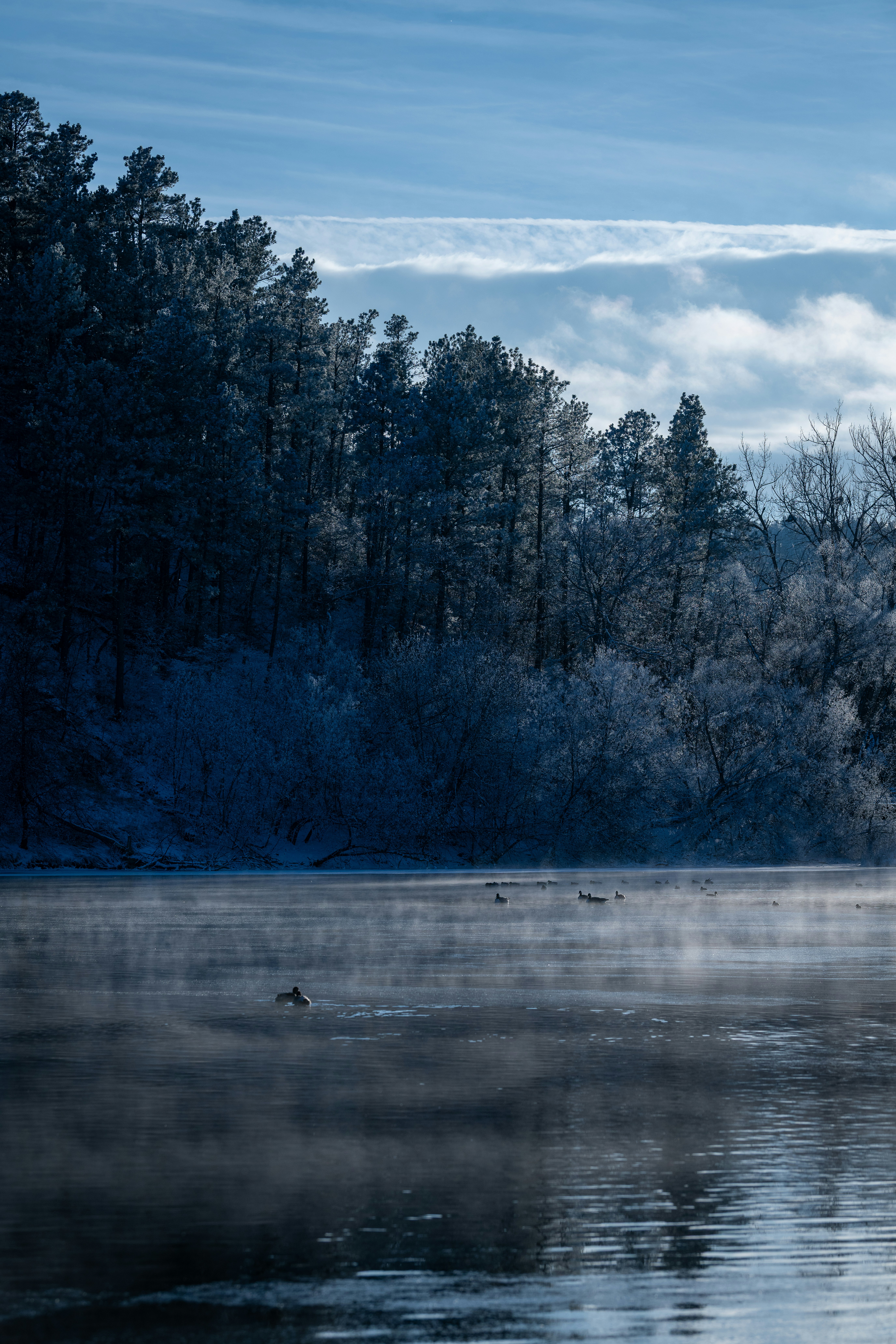 Ein nebliger Fluss fließt an frostigen Bäumen unter einem wolkigen Himmel vorbei