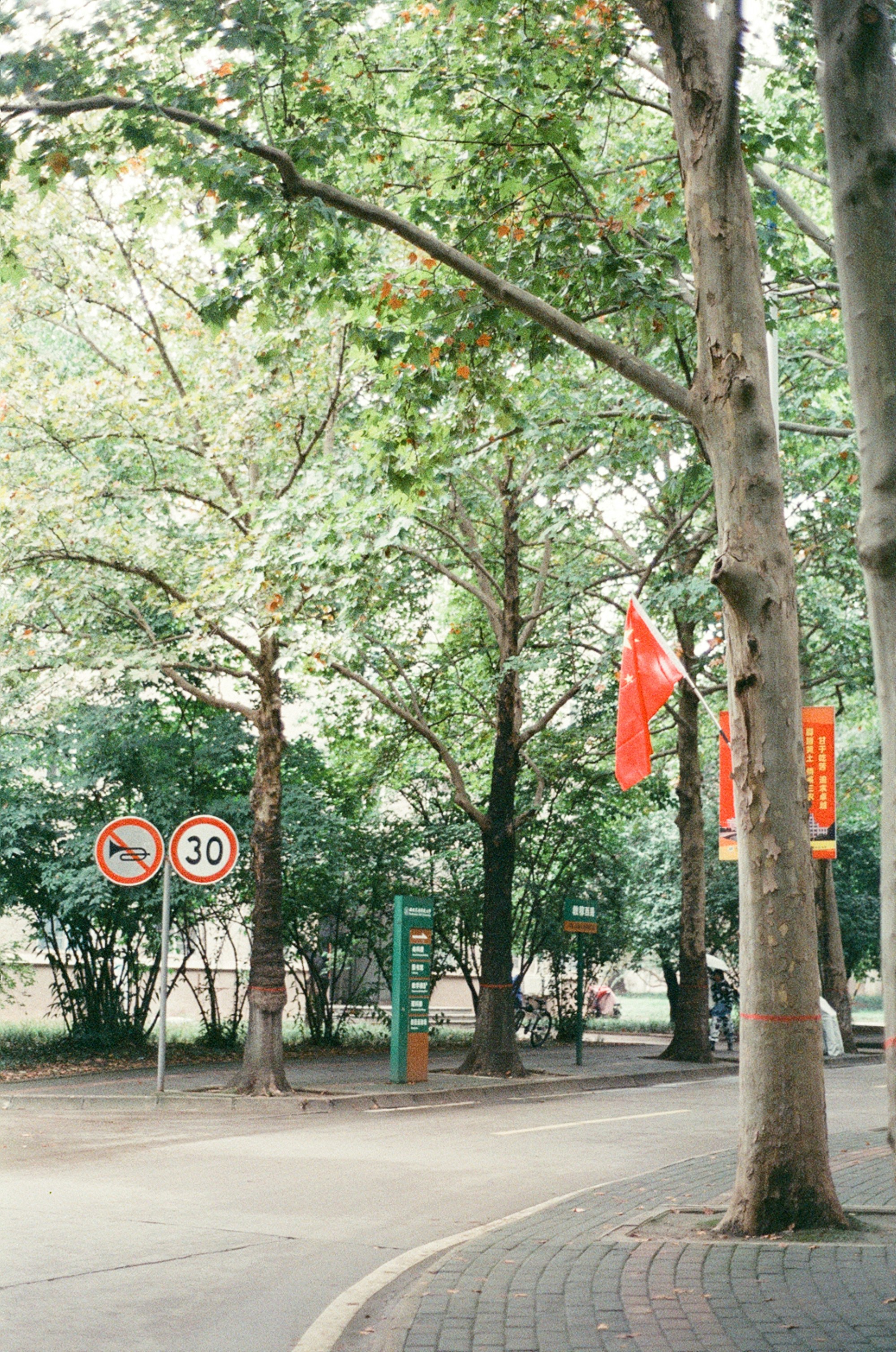 Red flag flies on a tree-lined street with traffic signs.