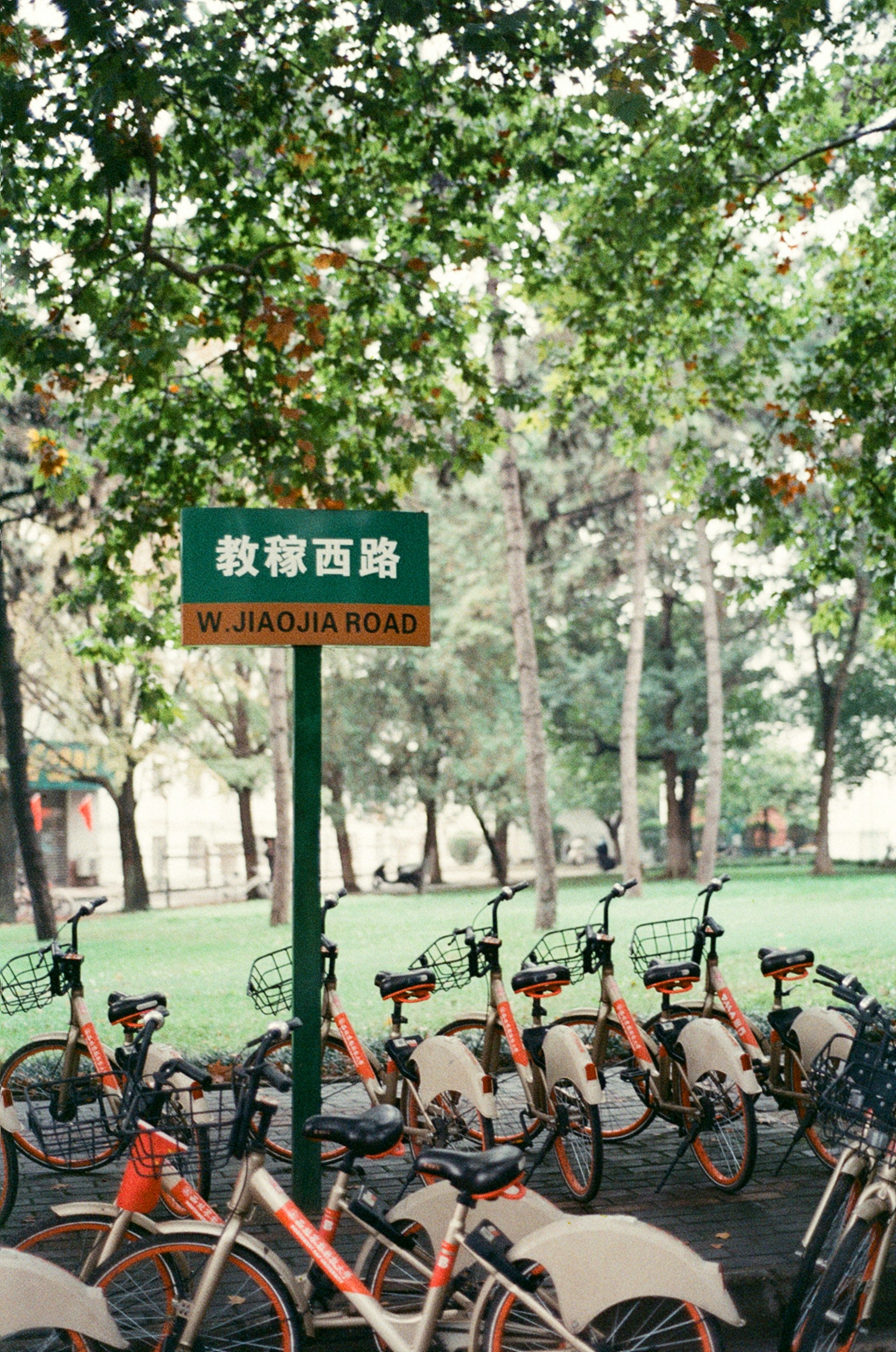 Row of orange bicycles parked near a street sign.