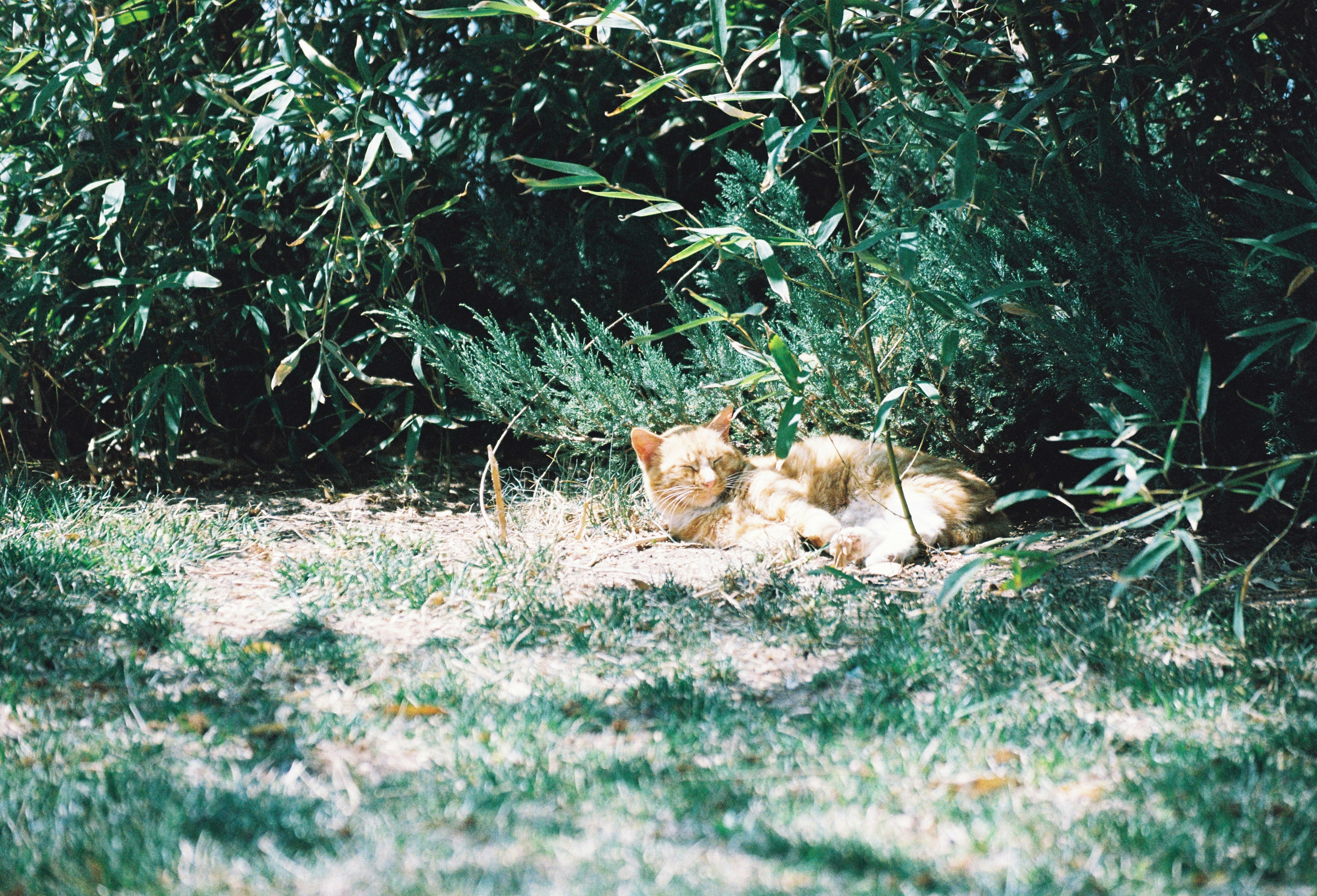 Semaglutide in Port Lions, AK: A Local, Practical Guide to Weight-Management Habits and Program Planning