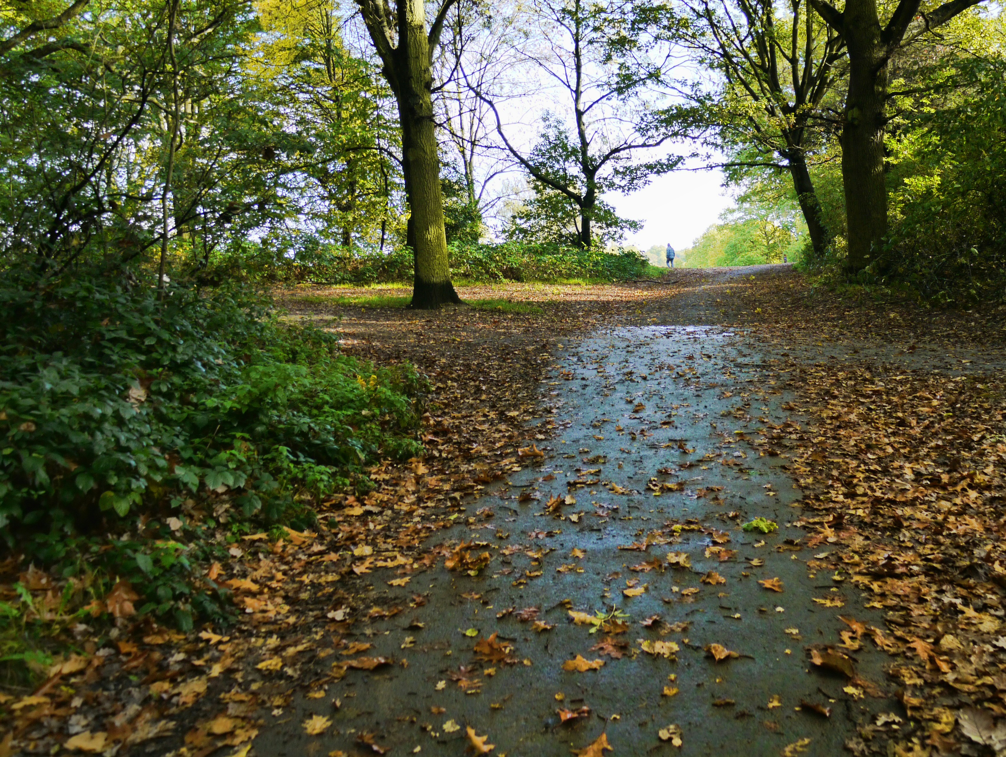 Photo by brett_jordan