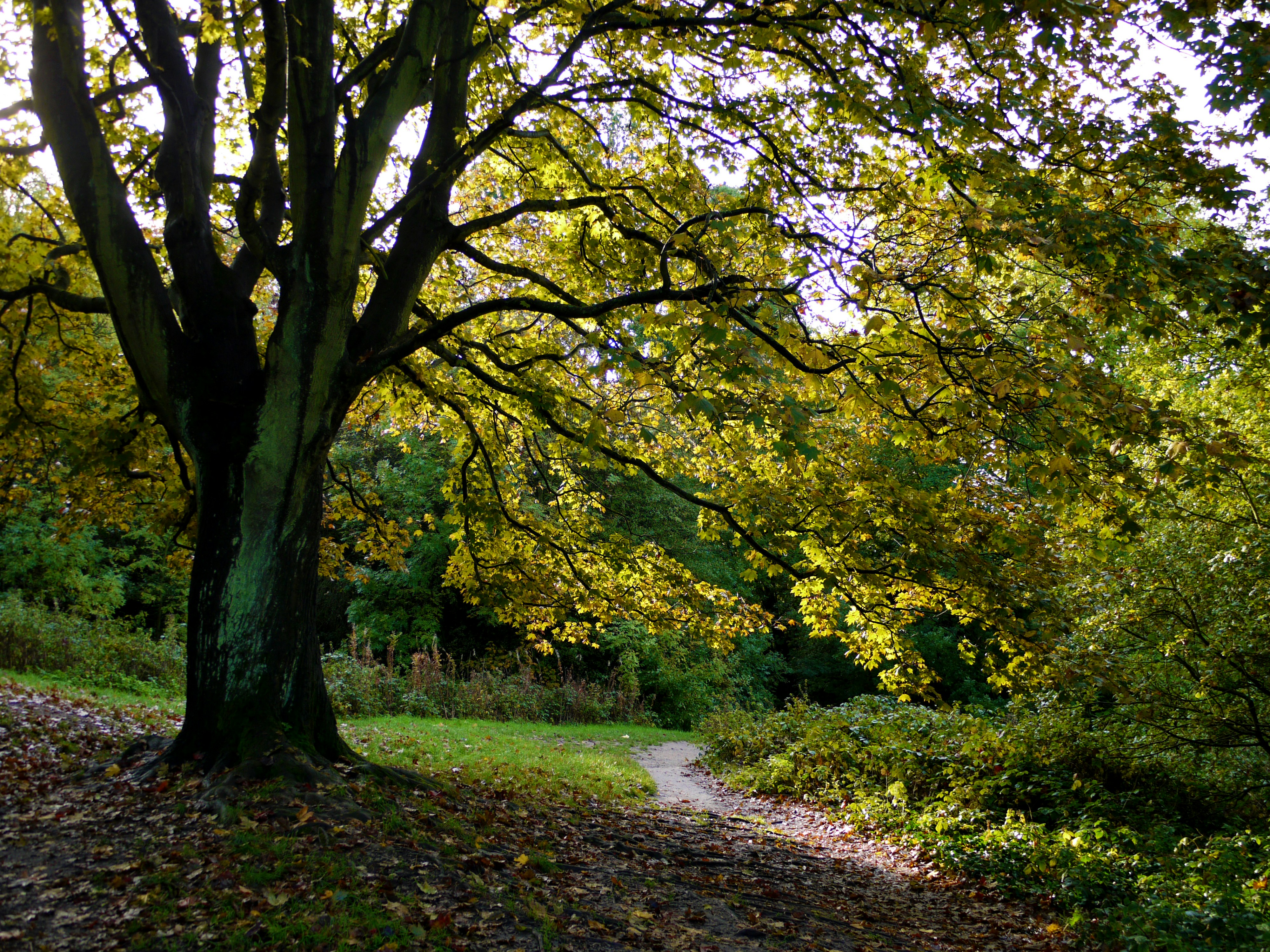 Photo by brett_jordan