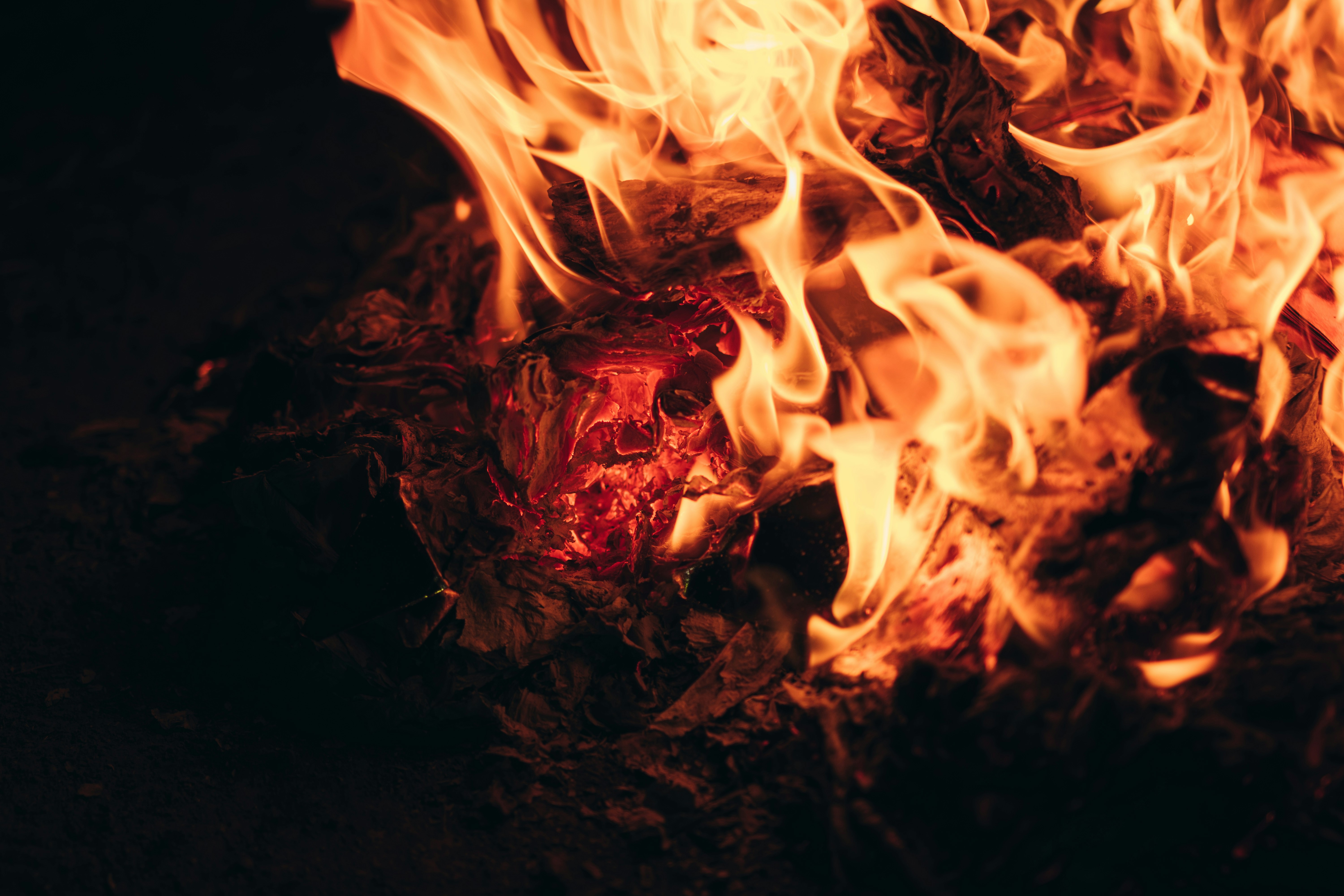 Close-up of a campfire with bright orange flames.