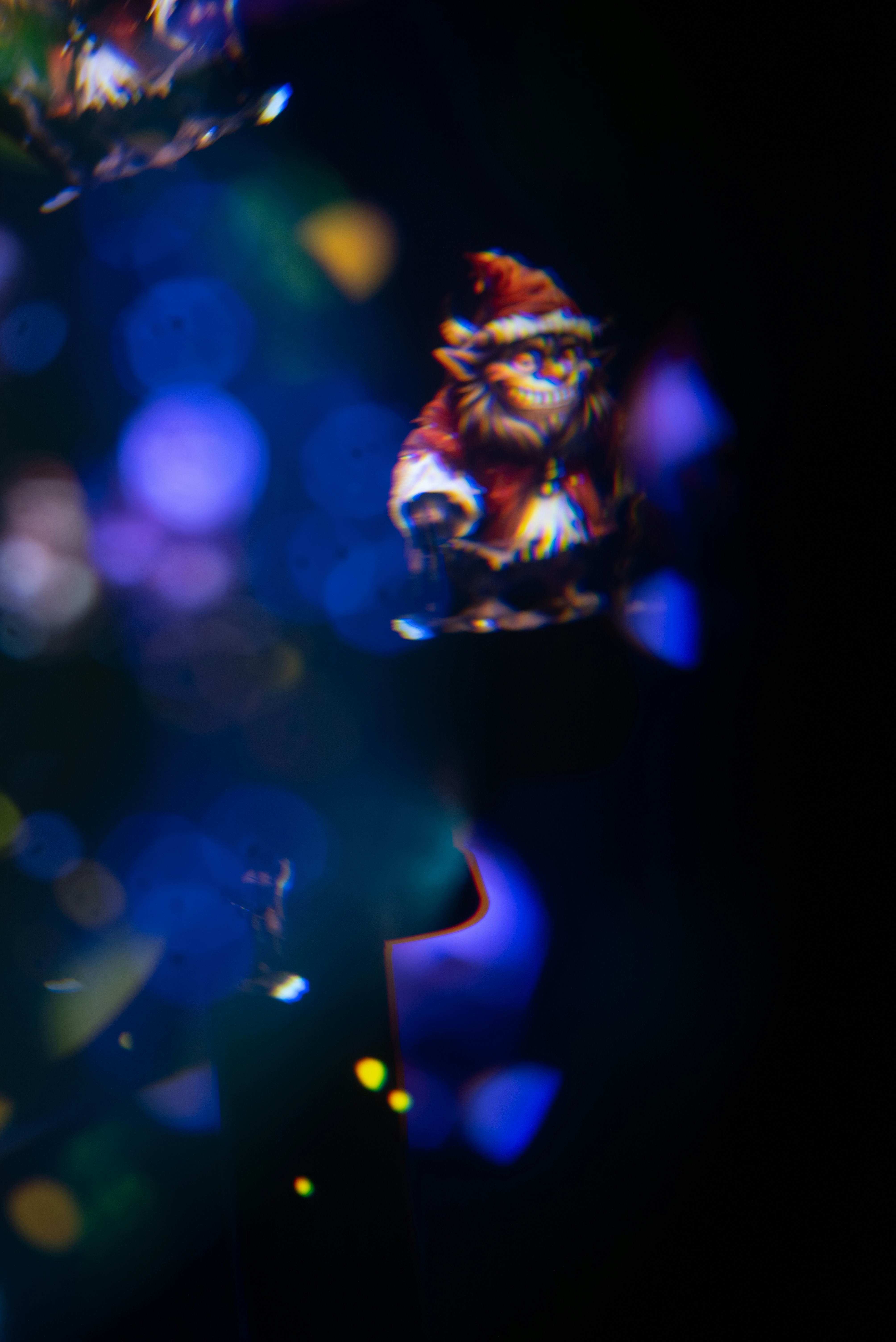 Photo by andrilliardbond