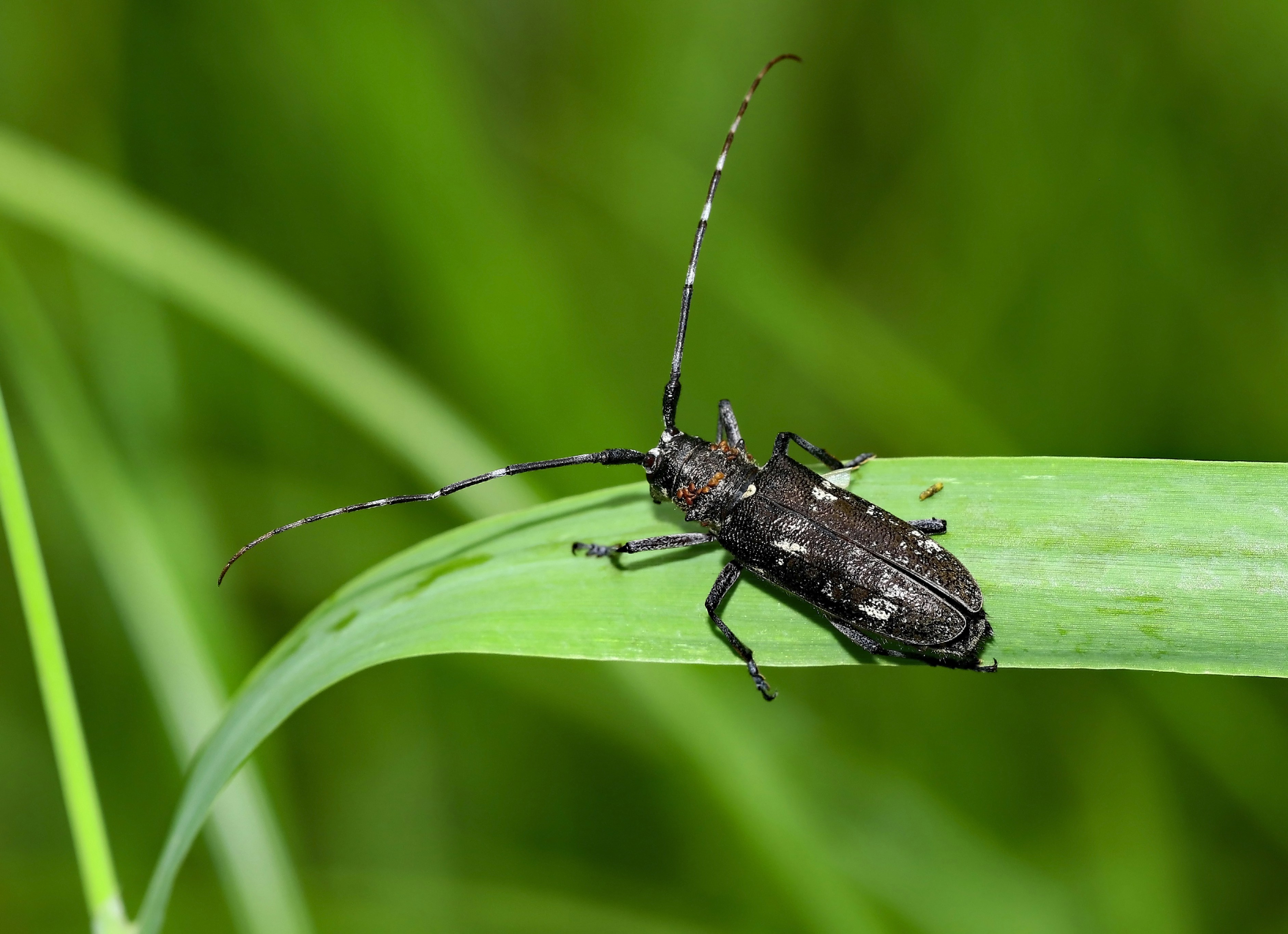 Photo by telliottmbamsc