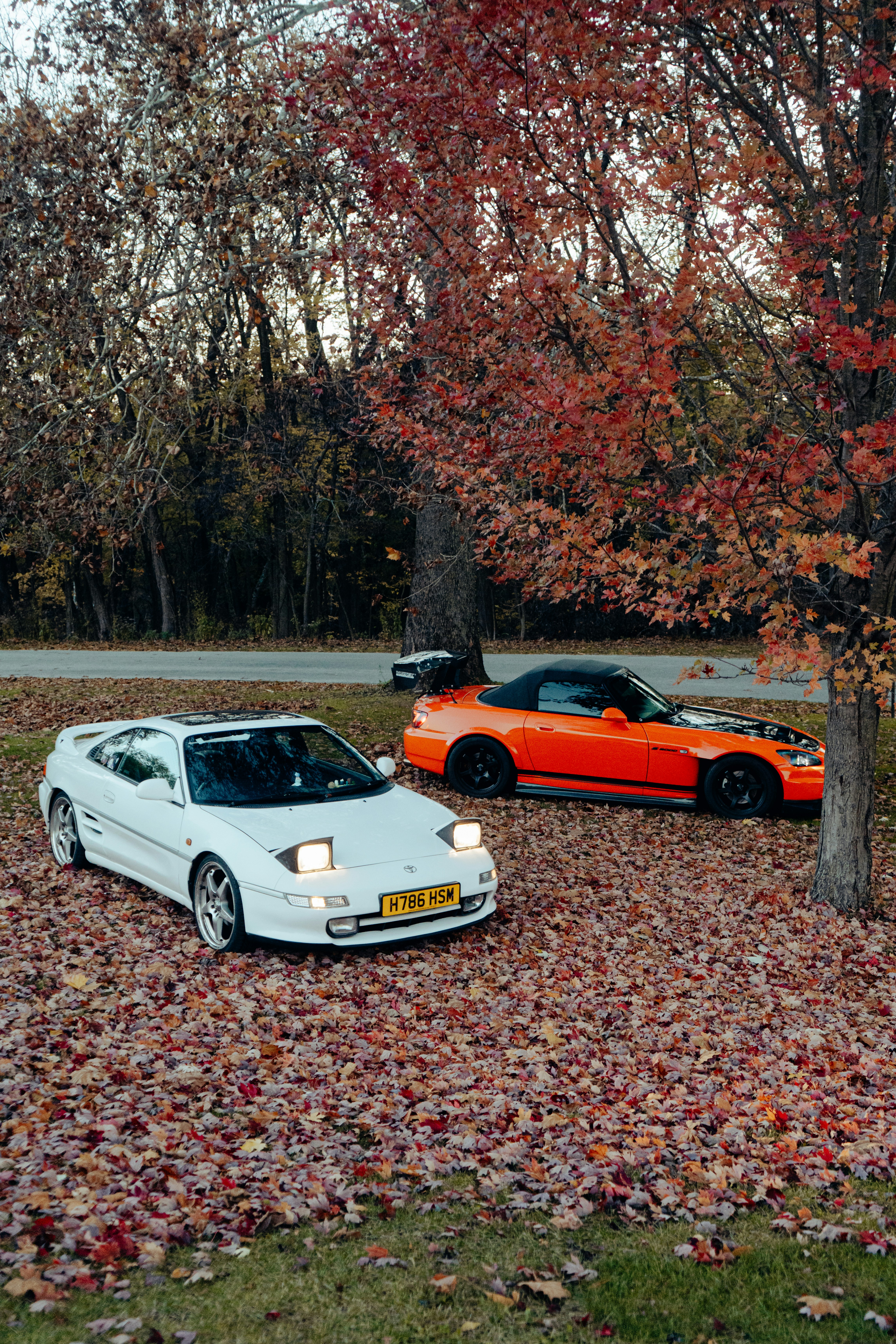 秋の落ち葉の間に停まっているスポーツカー2台