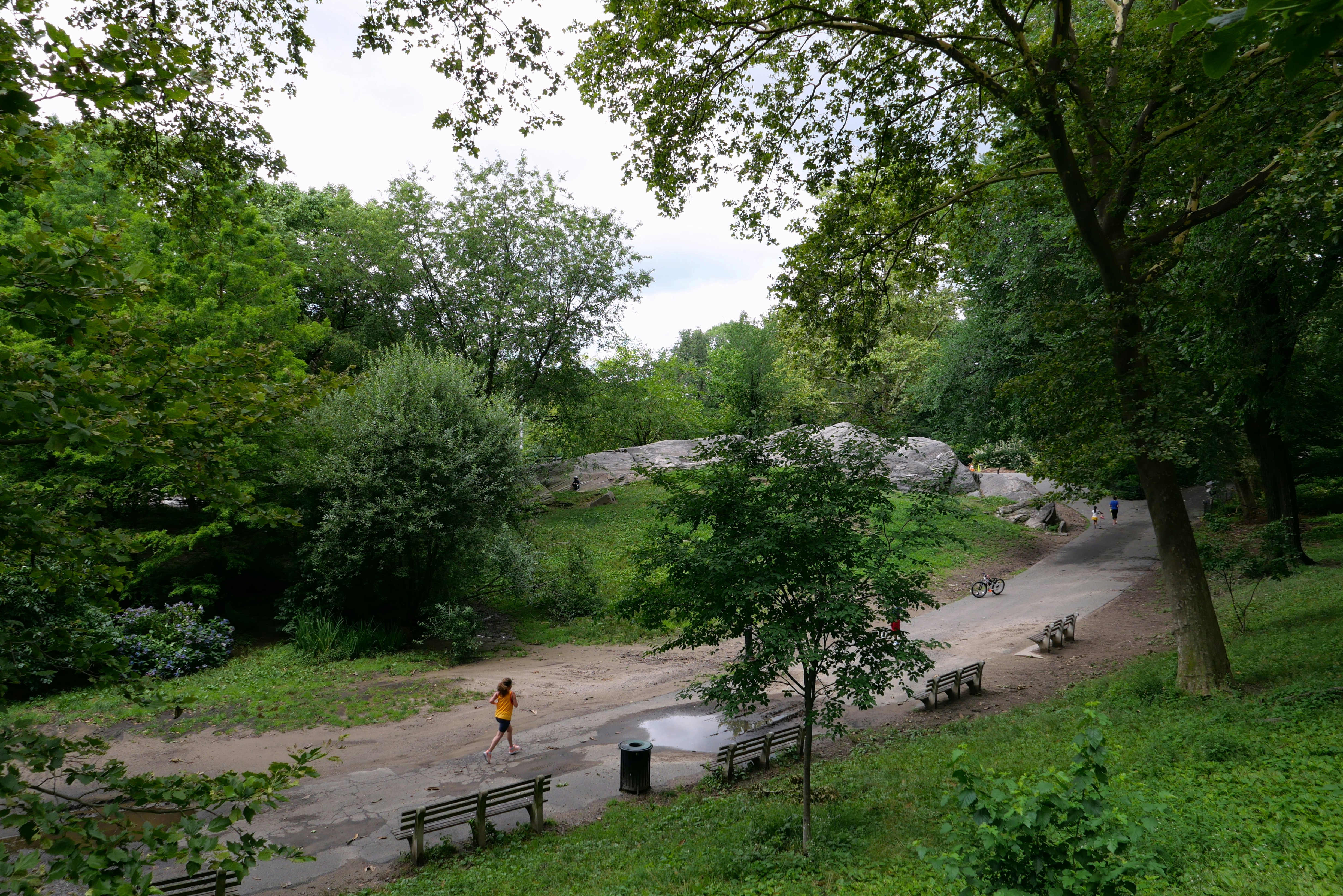 Central Park Bridle Path. A distant runner seen in a yellow shirt.