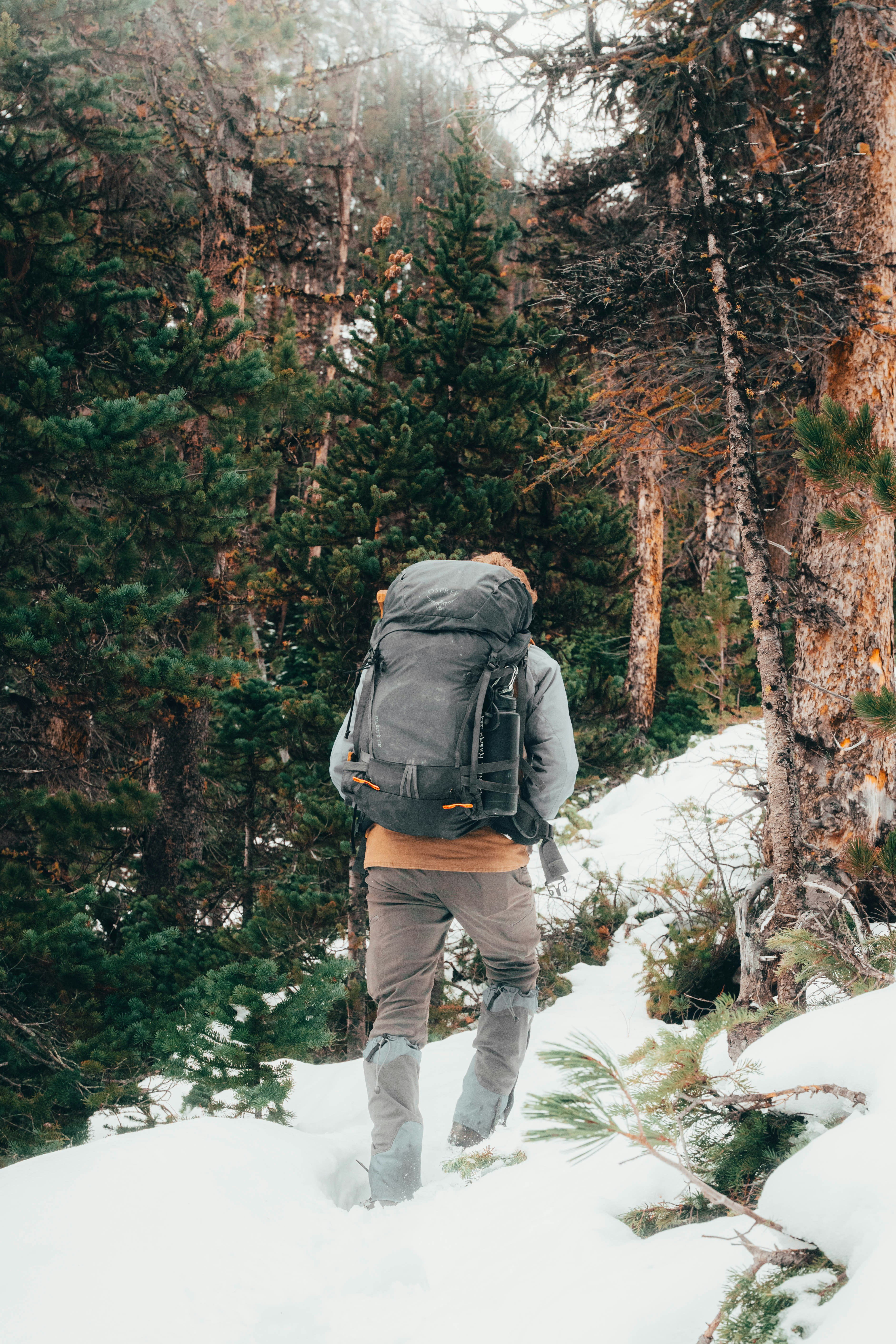 Hiker with backpack walks through snowy forest
