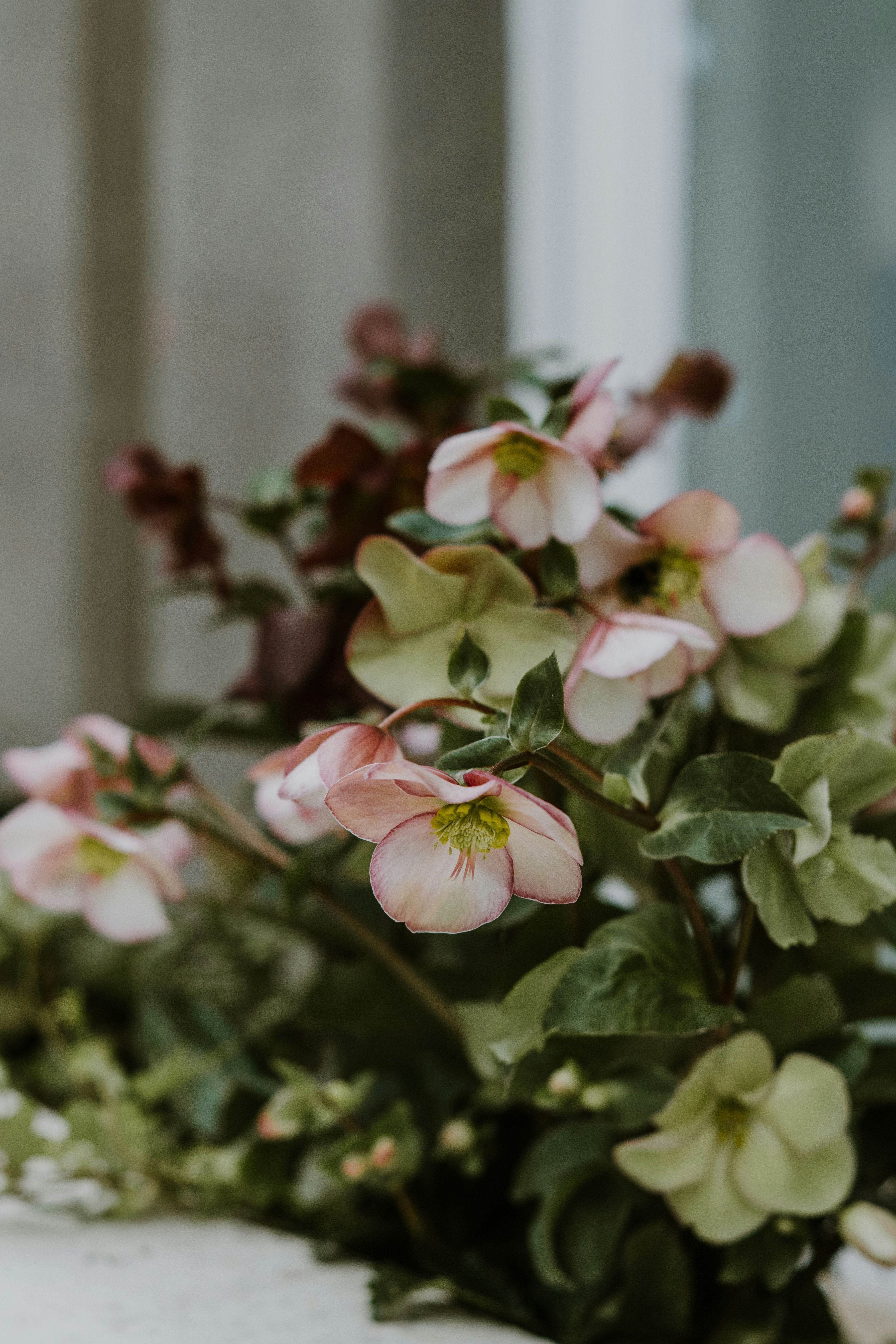 Photo by anitaaustvika