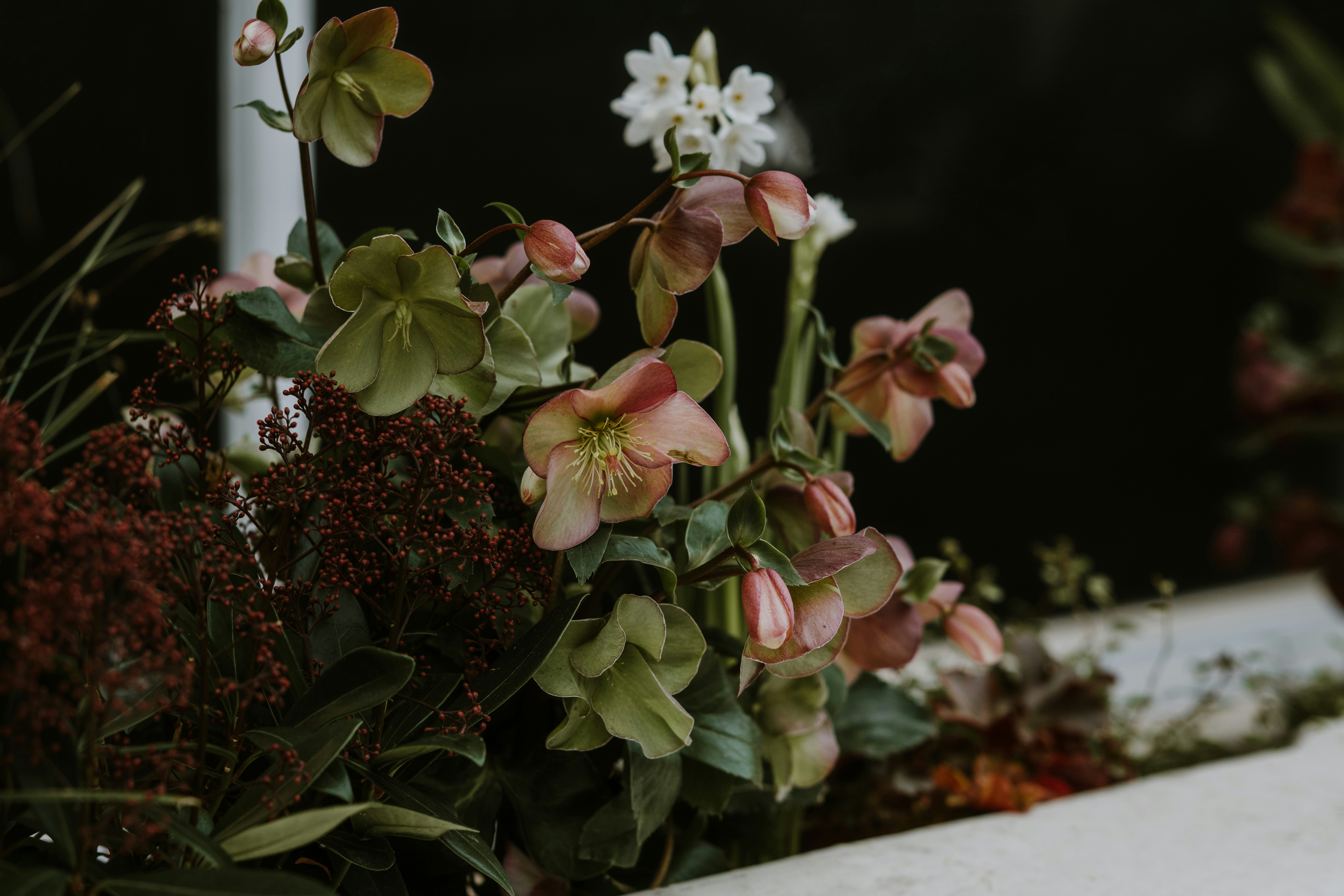 Photo by anitaaustvika