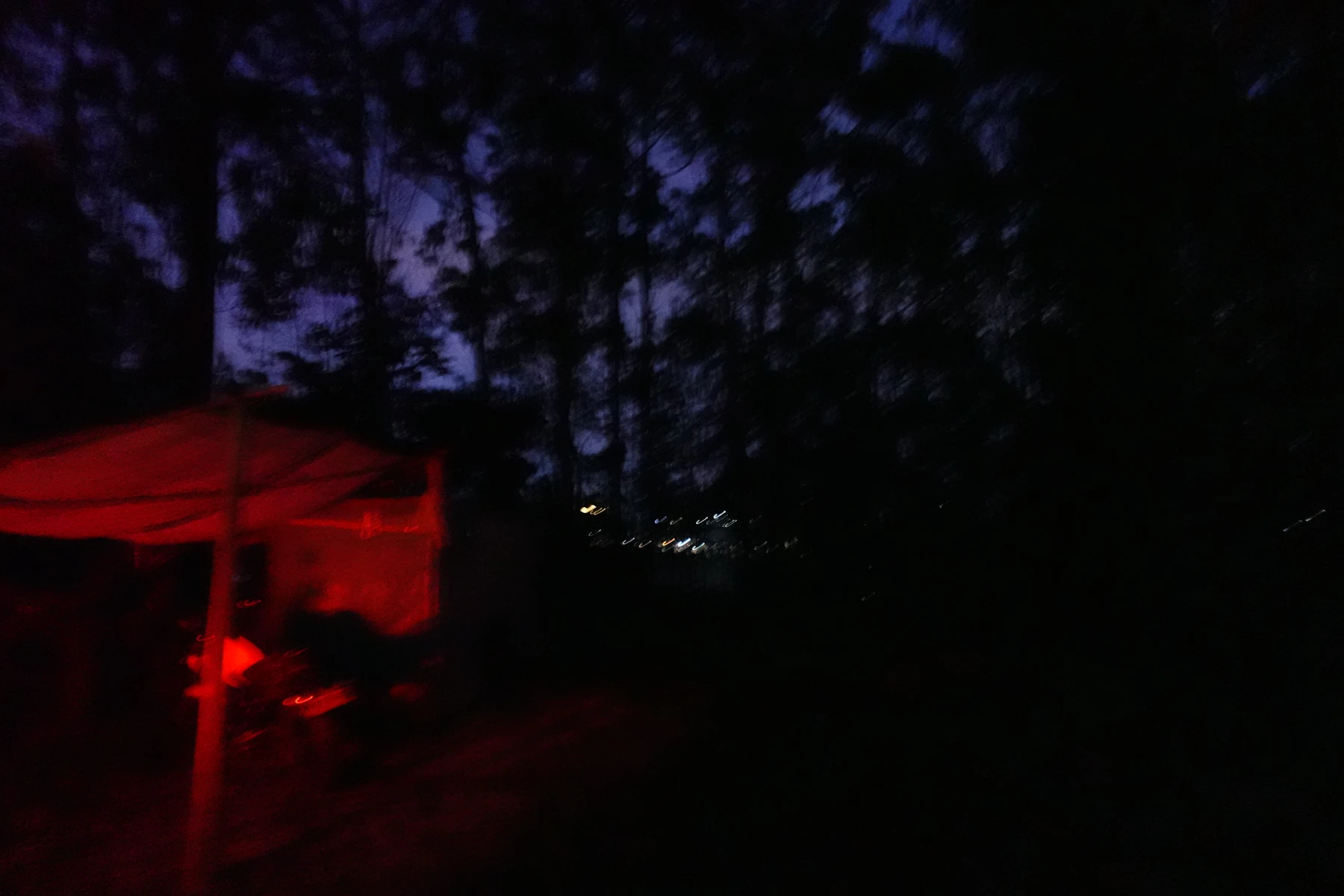 Outdoor camping shelter illuminated during a quiet evening in the forest