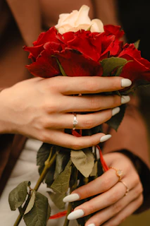 Hands holding a bouquet of red and white roses.