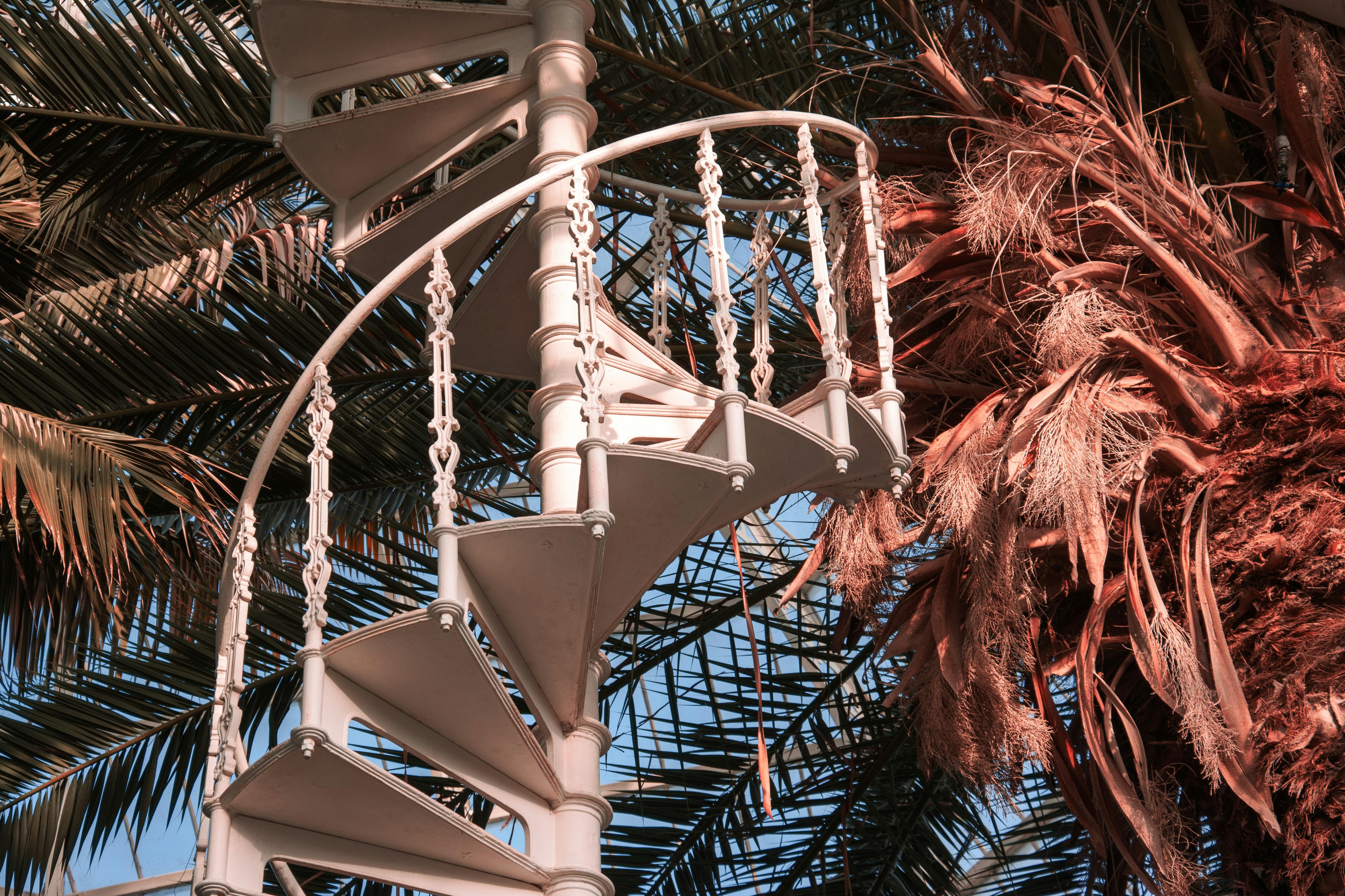 White spiral staircase against palm trees and sky