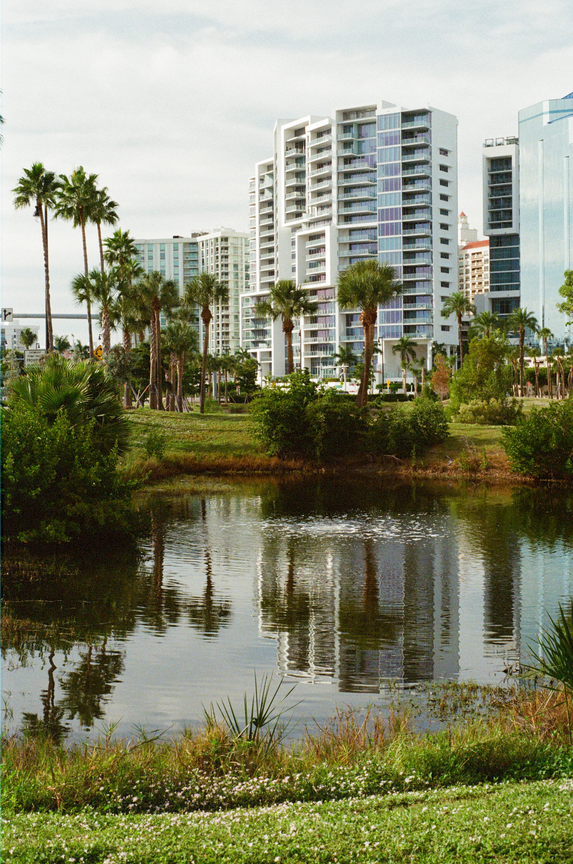 Modern buildings reflected in a calm pond with palm trees.