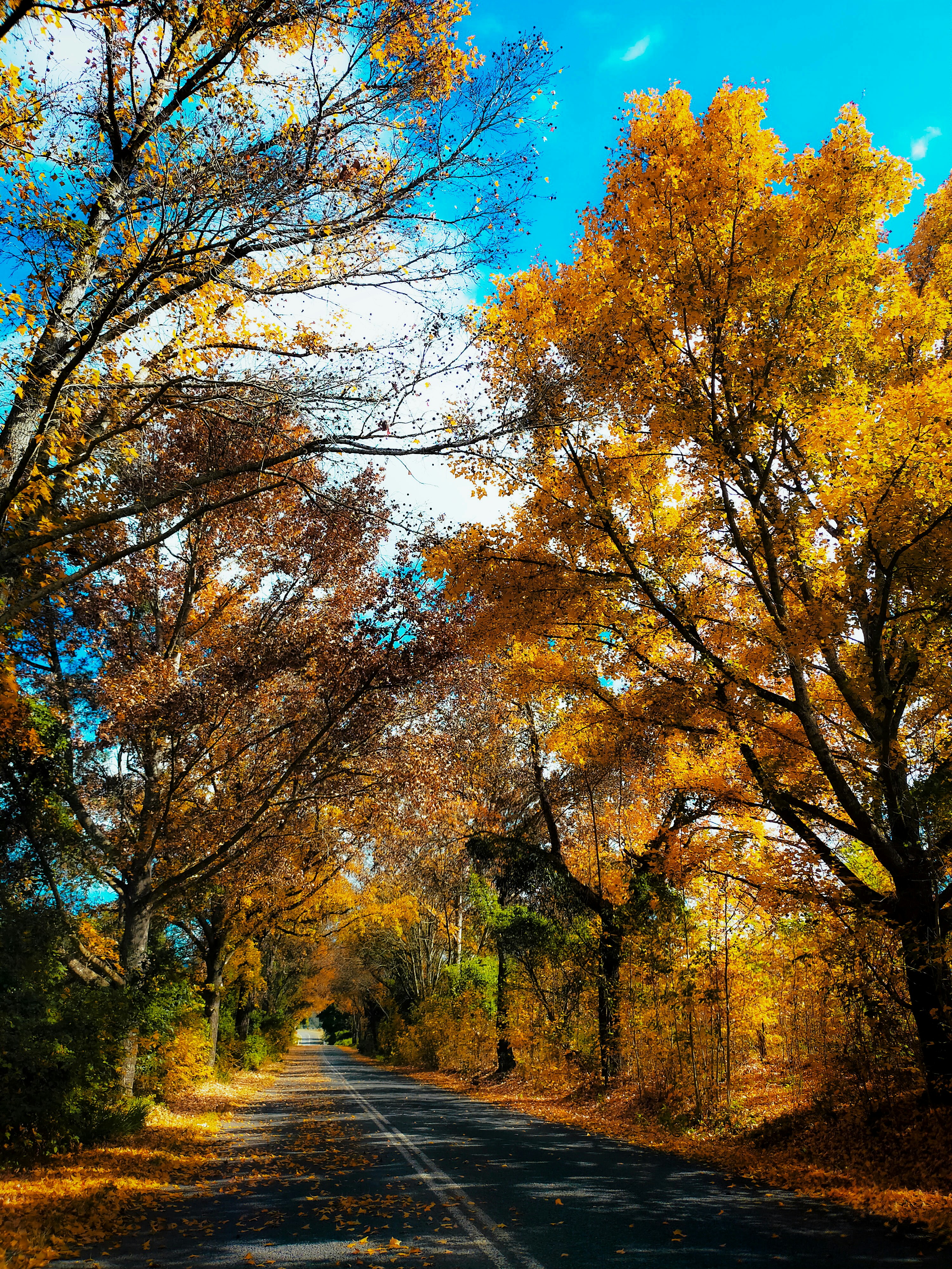 Photo by loubarross888