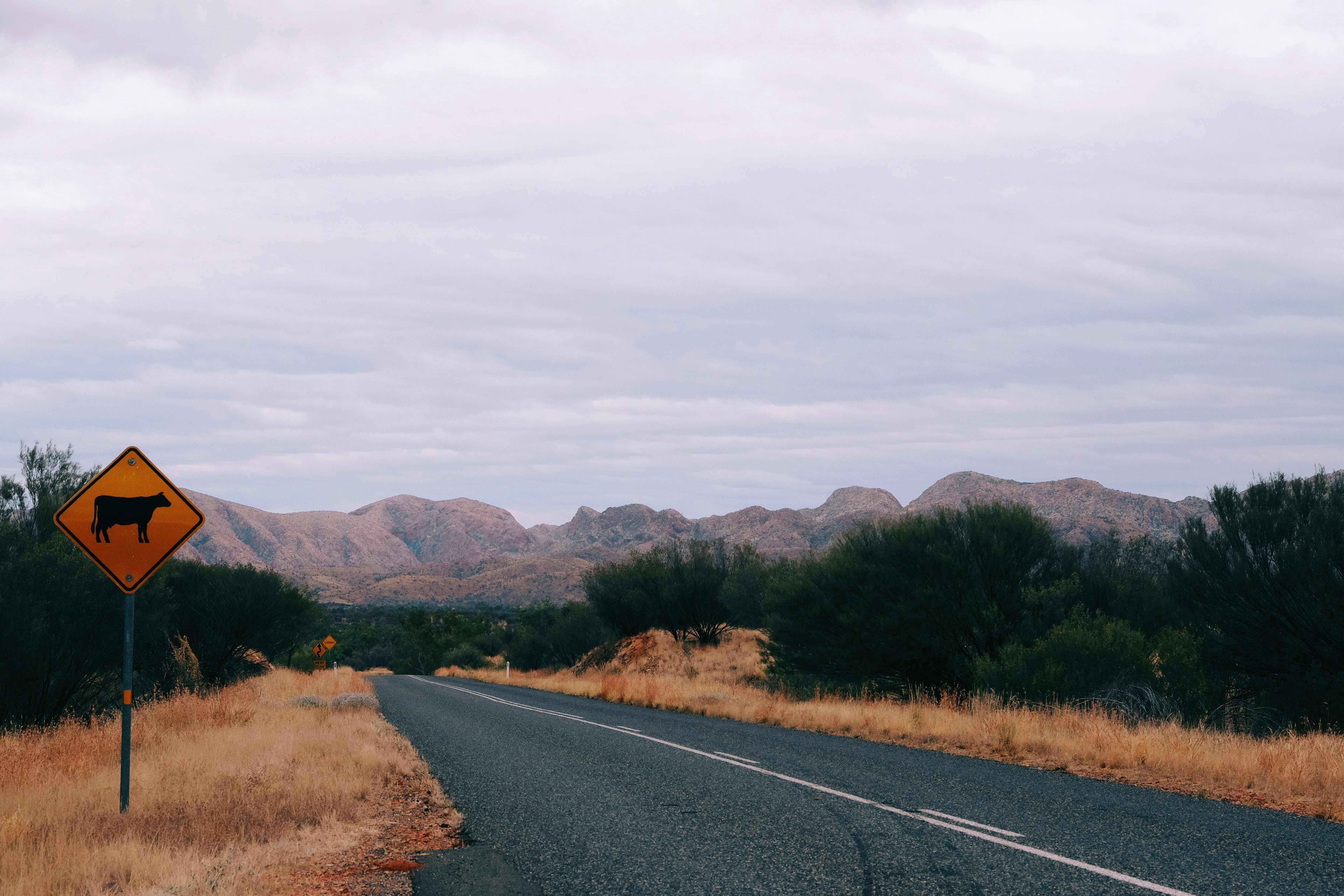 Photo by loubarross888