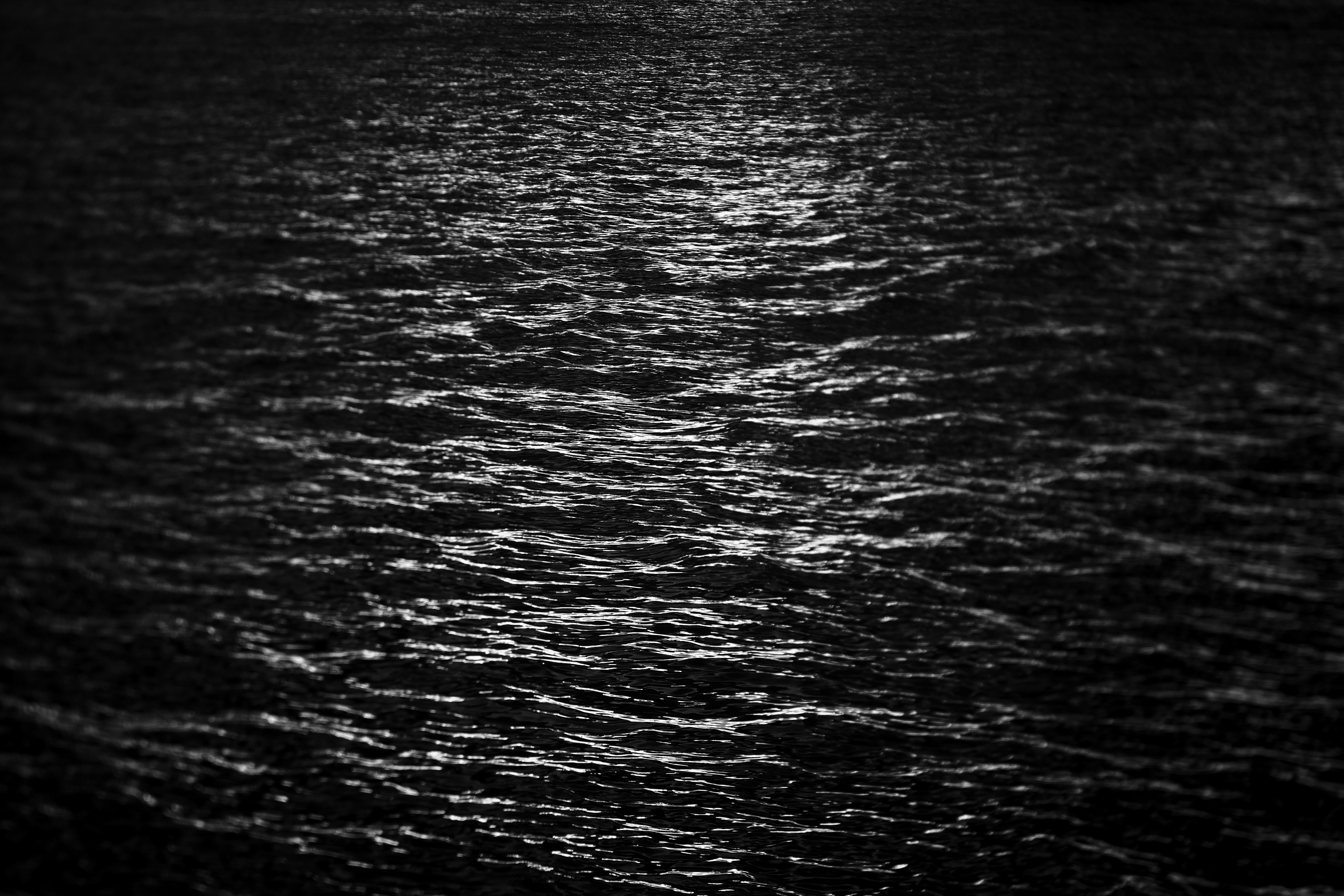 Photo by loubarross888