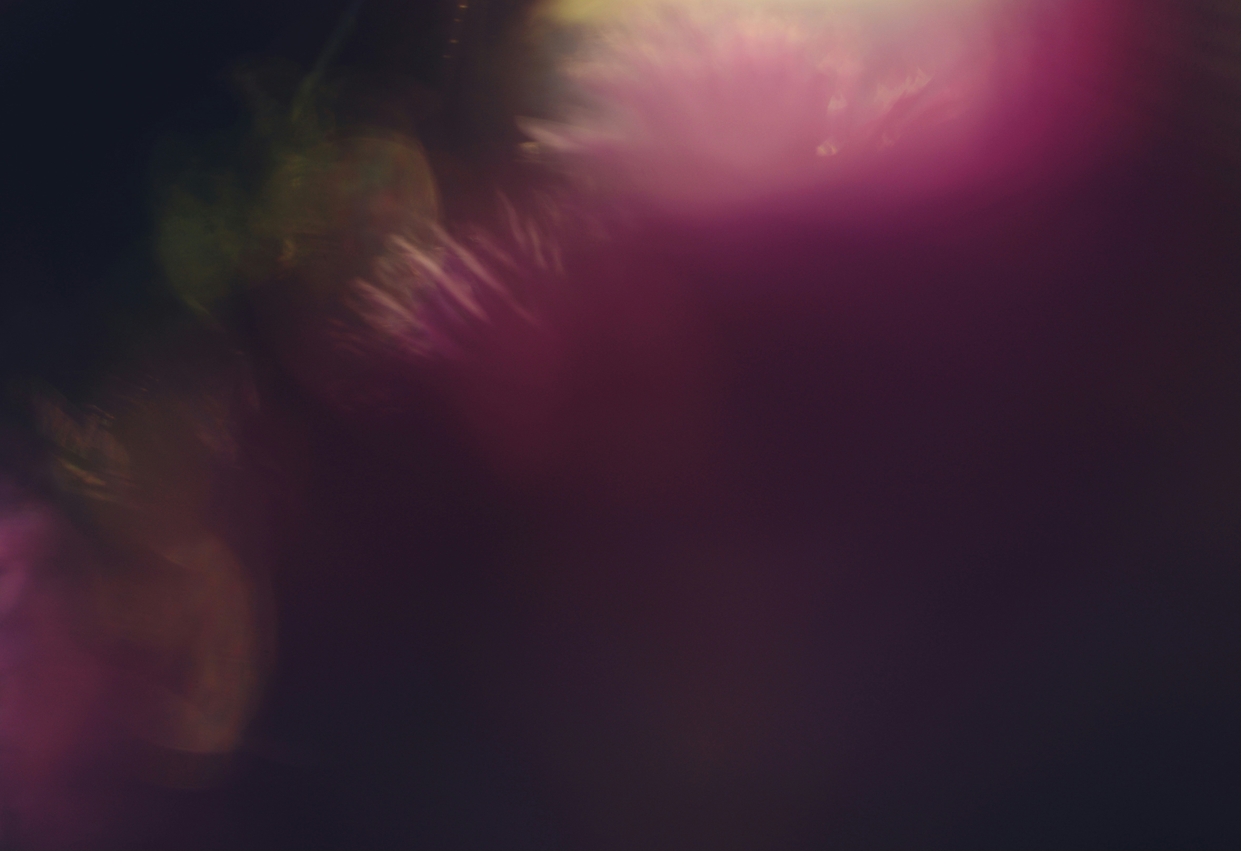 Abstract bokeh lights in shades of pink and gold