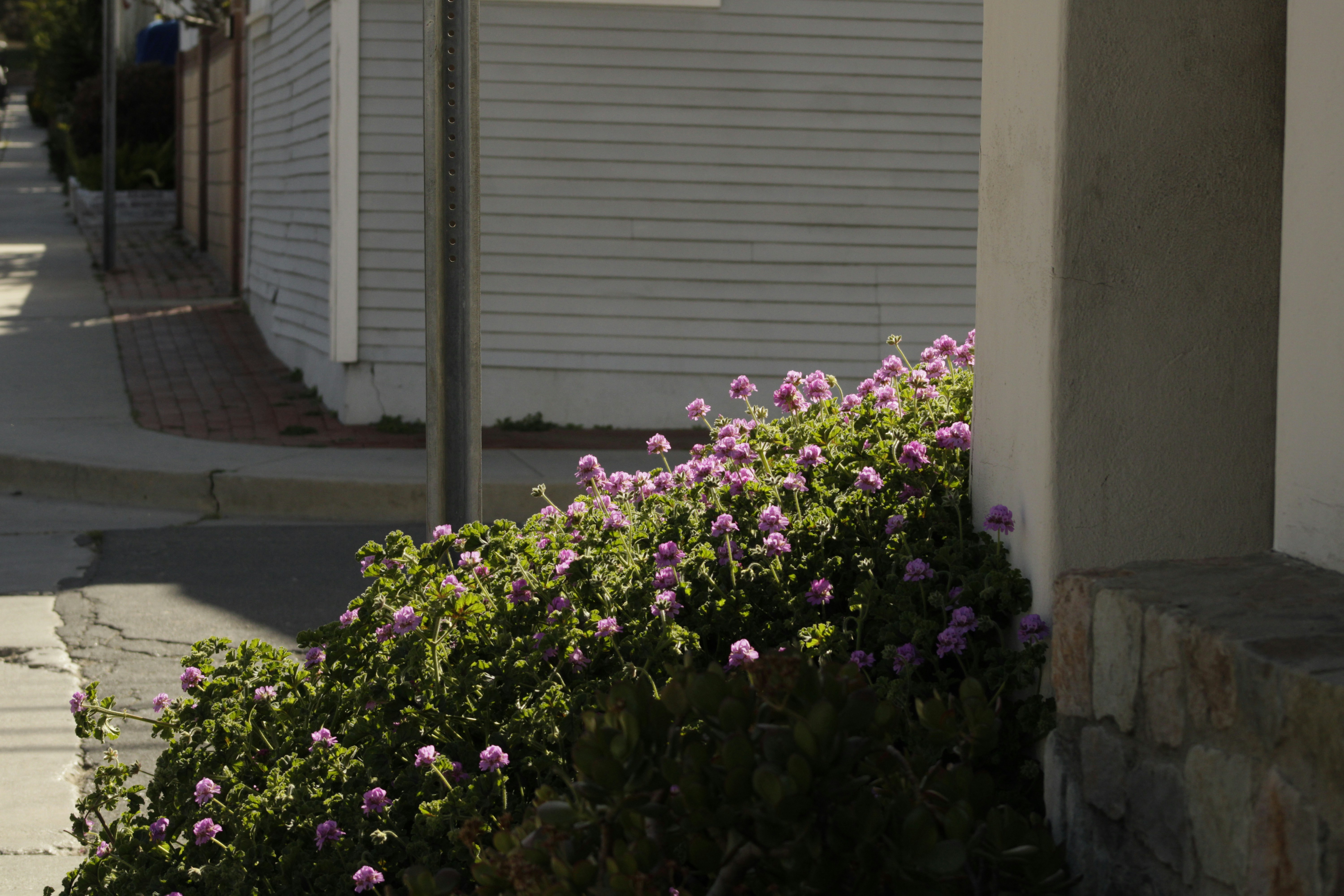 Photo by yenniferfilms