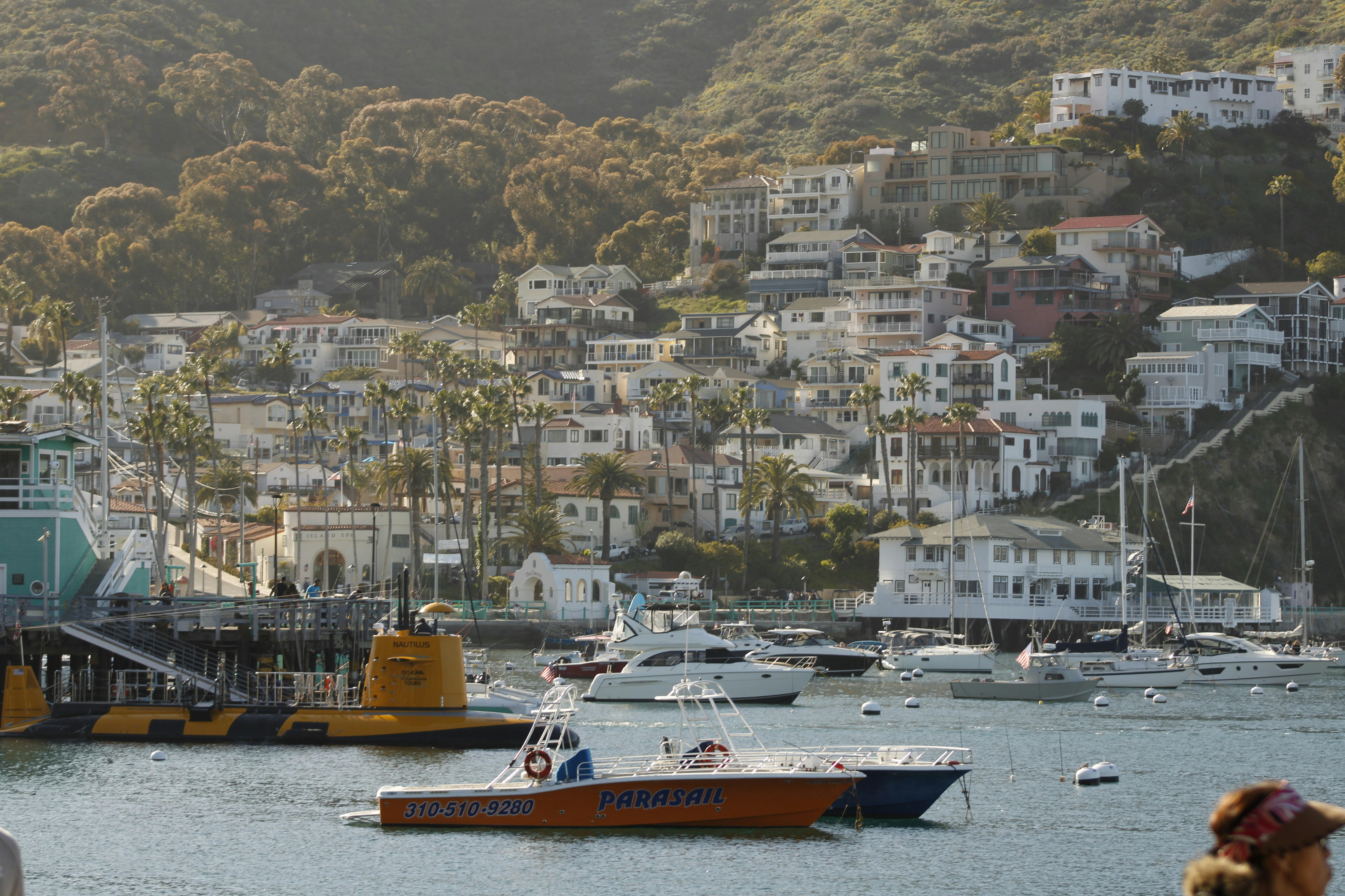 Boats in a harbor with buildings on a hillside.