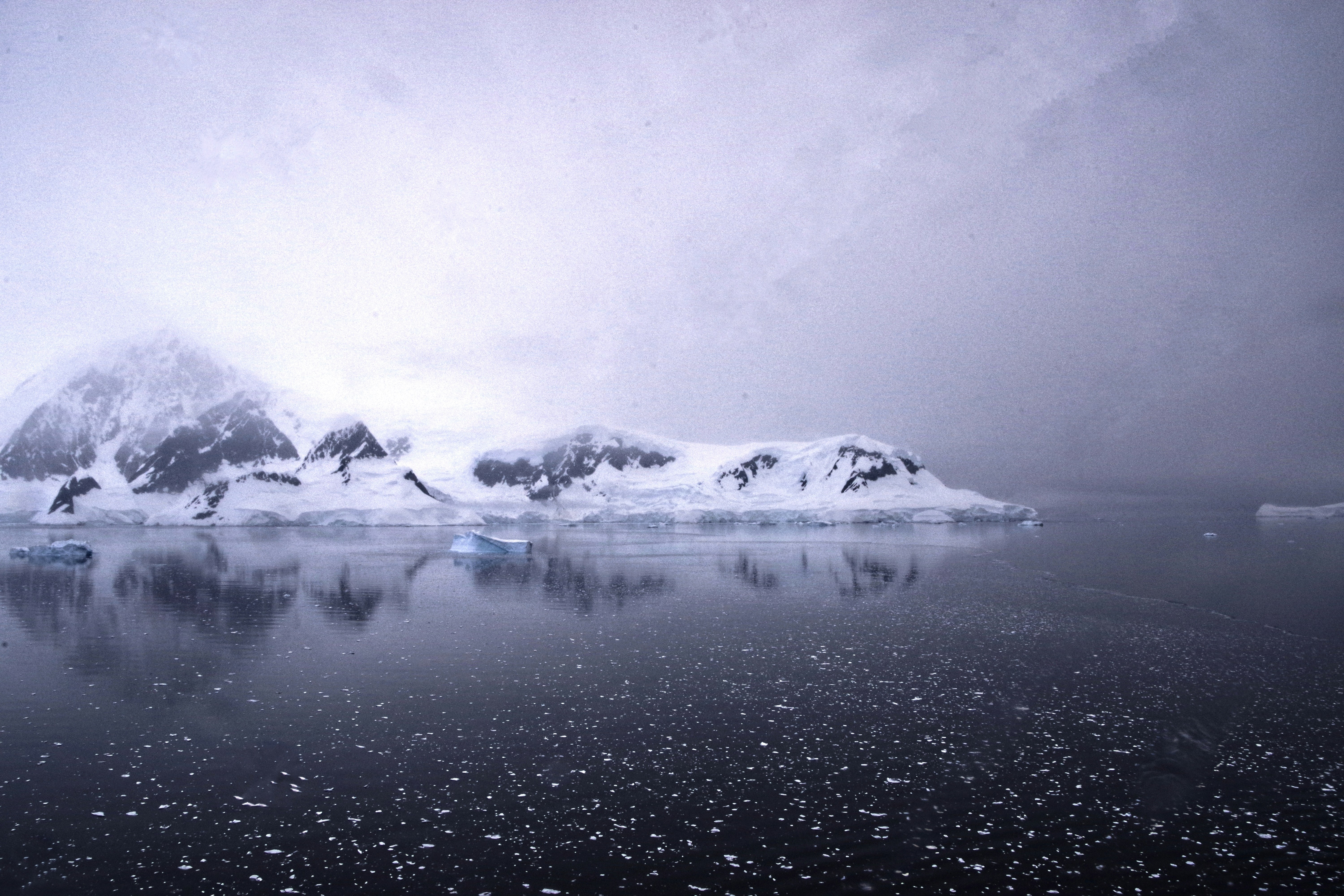 Interstellar Dust Trapped in Antarctic Ice Unveils 80,000 Years of Solar System History