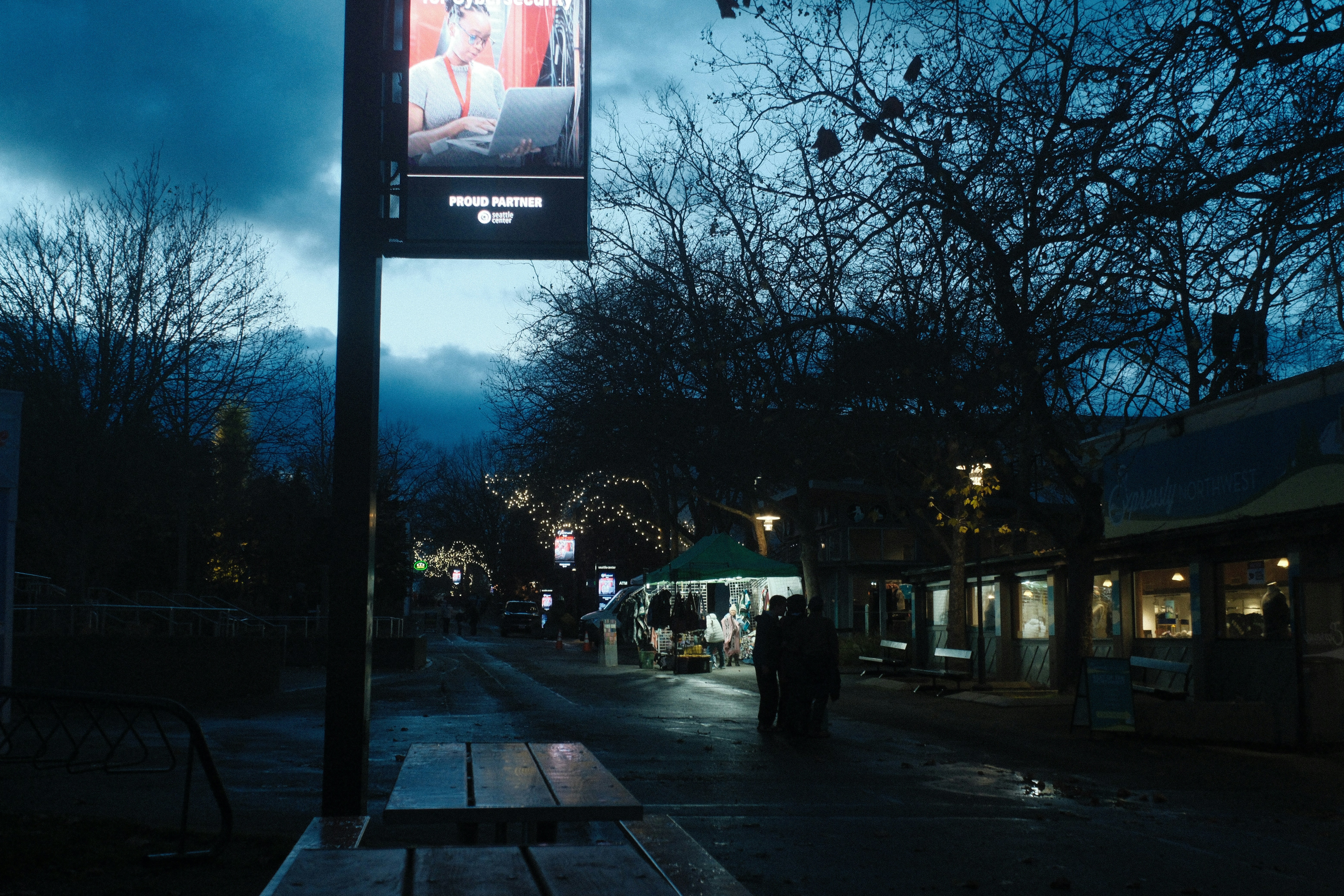 Street scene at dusk with lights and bare trees.
