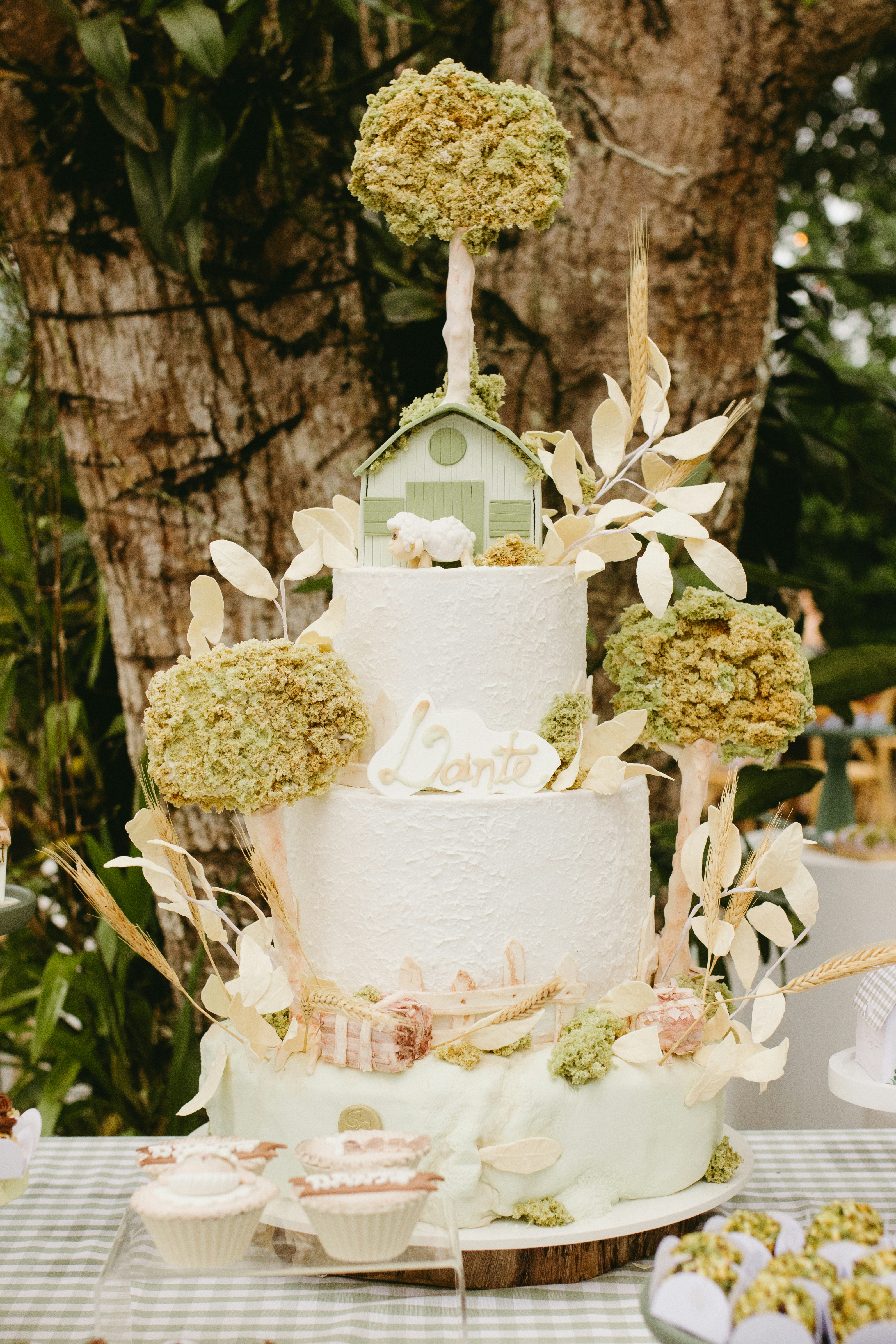 Photo by jonathanborba