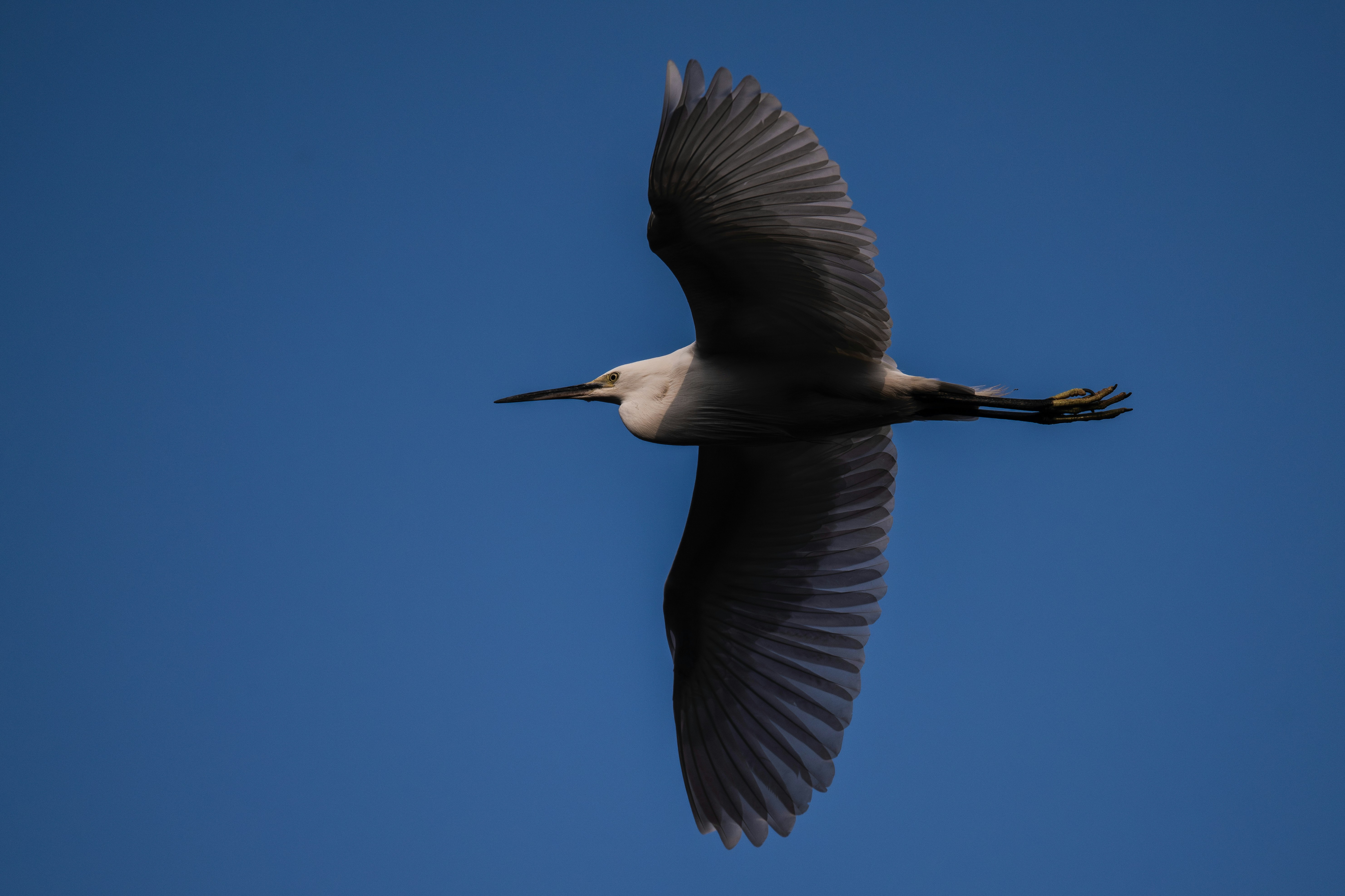 Photo by briadorothy