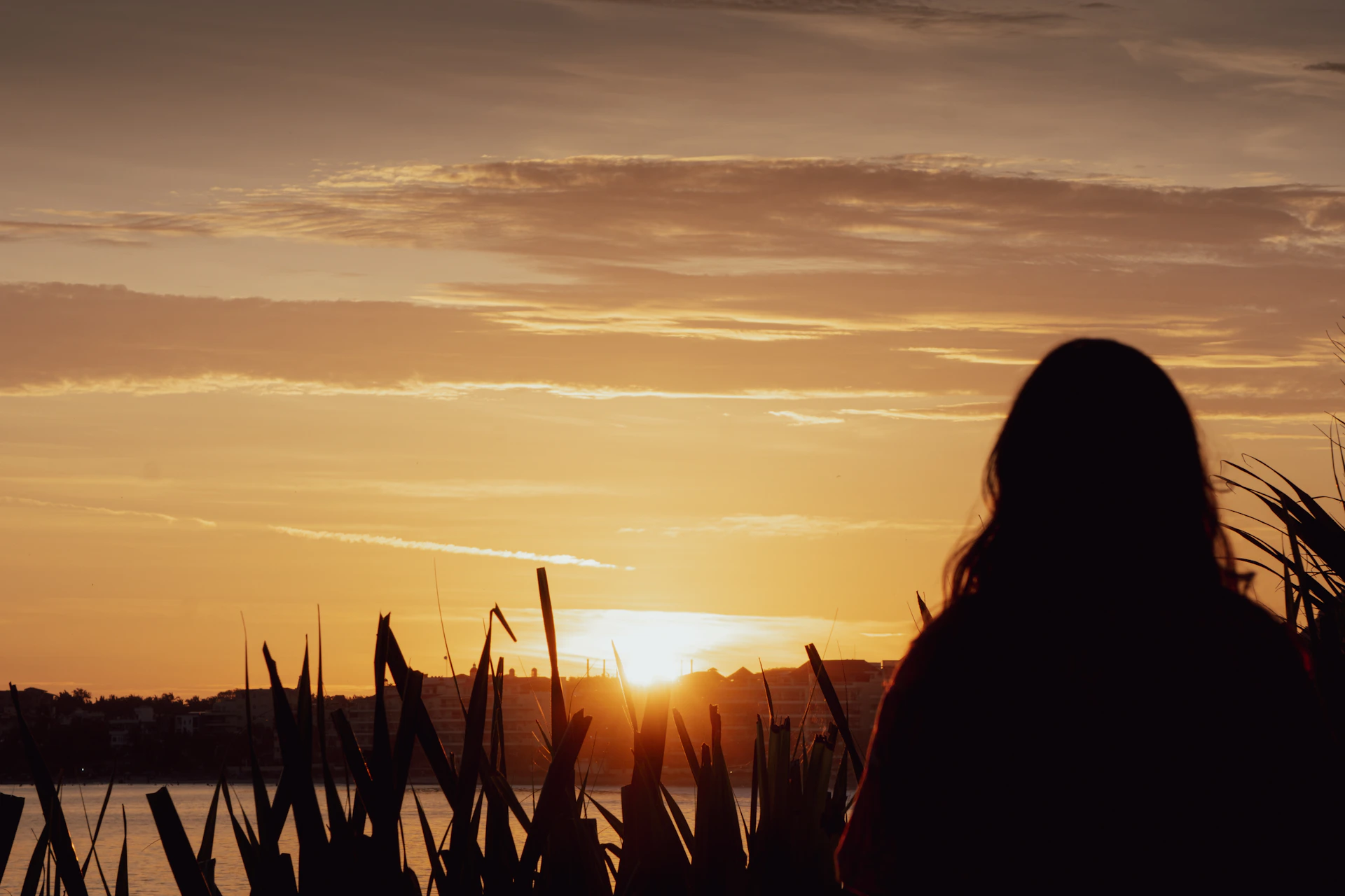 Woman watching the sunset over the water