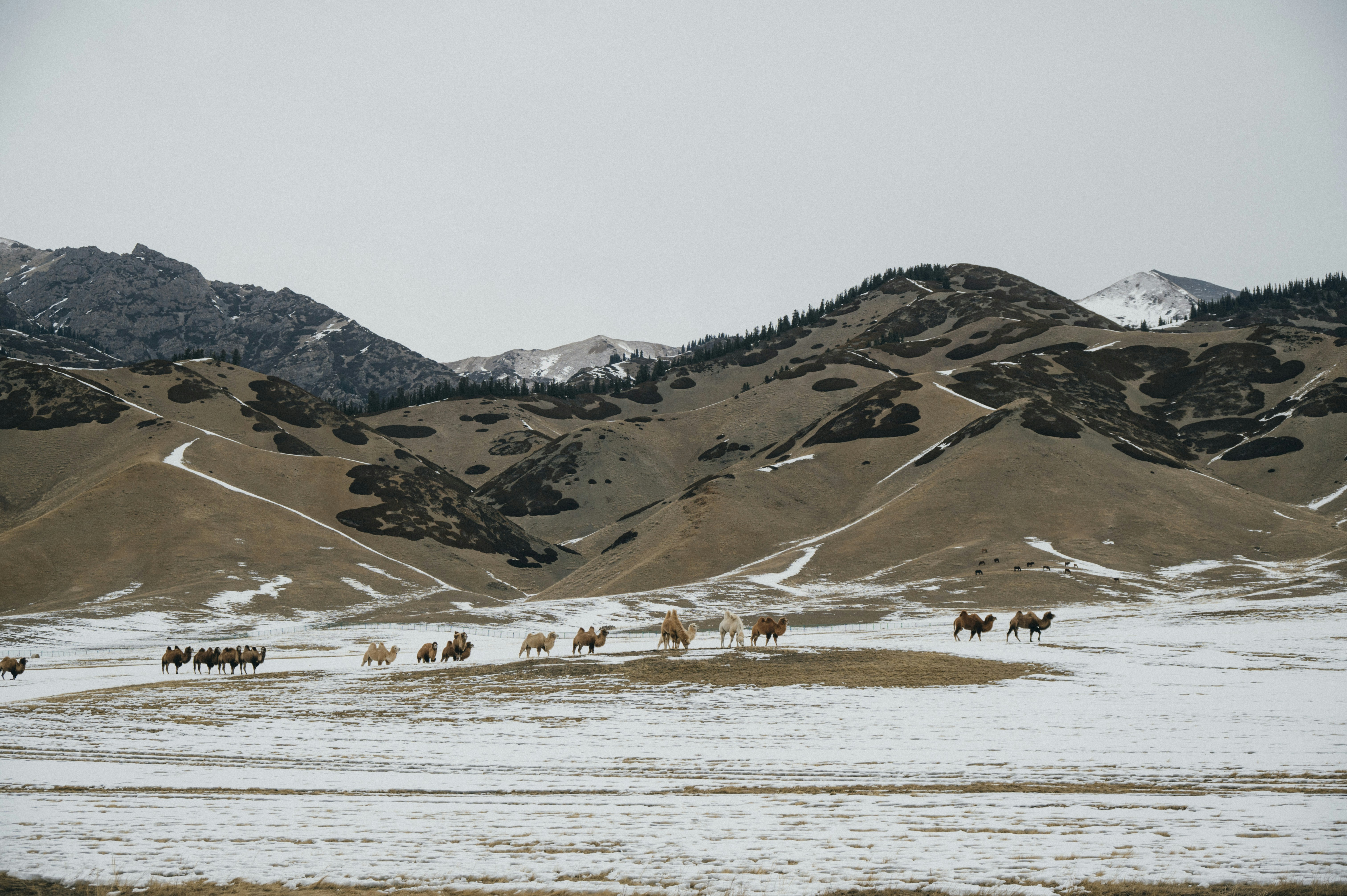 central asia landscape, wallpaper, Ekspansi Islam ke Asia Tengah: Era Umayyah 3
