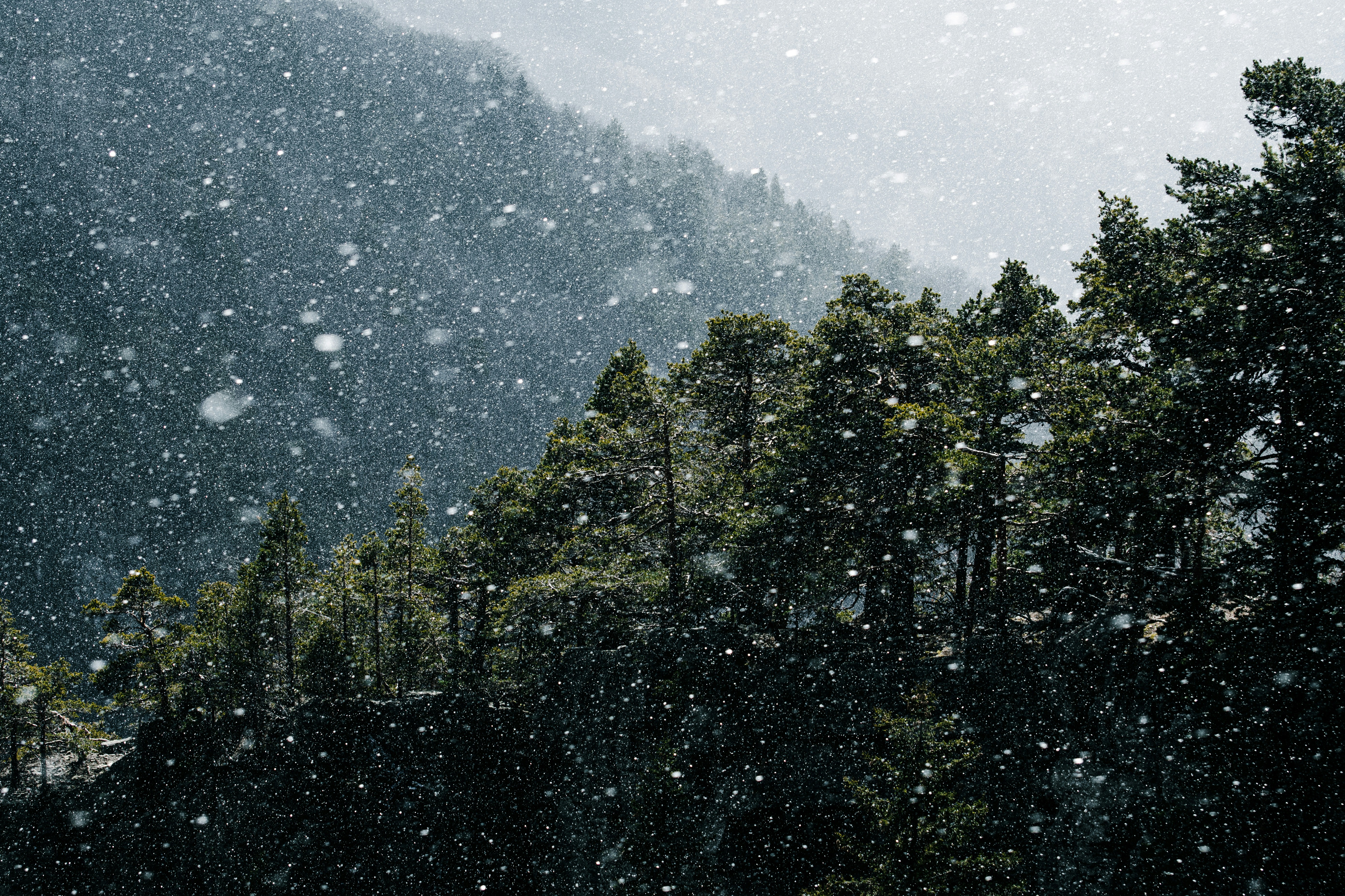 Photo by adialbulescu