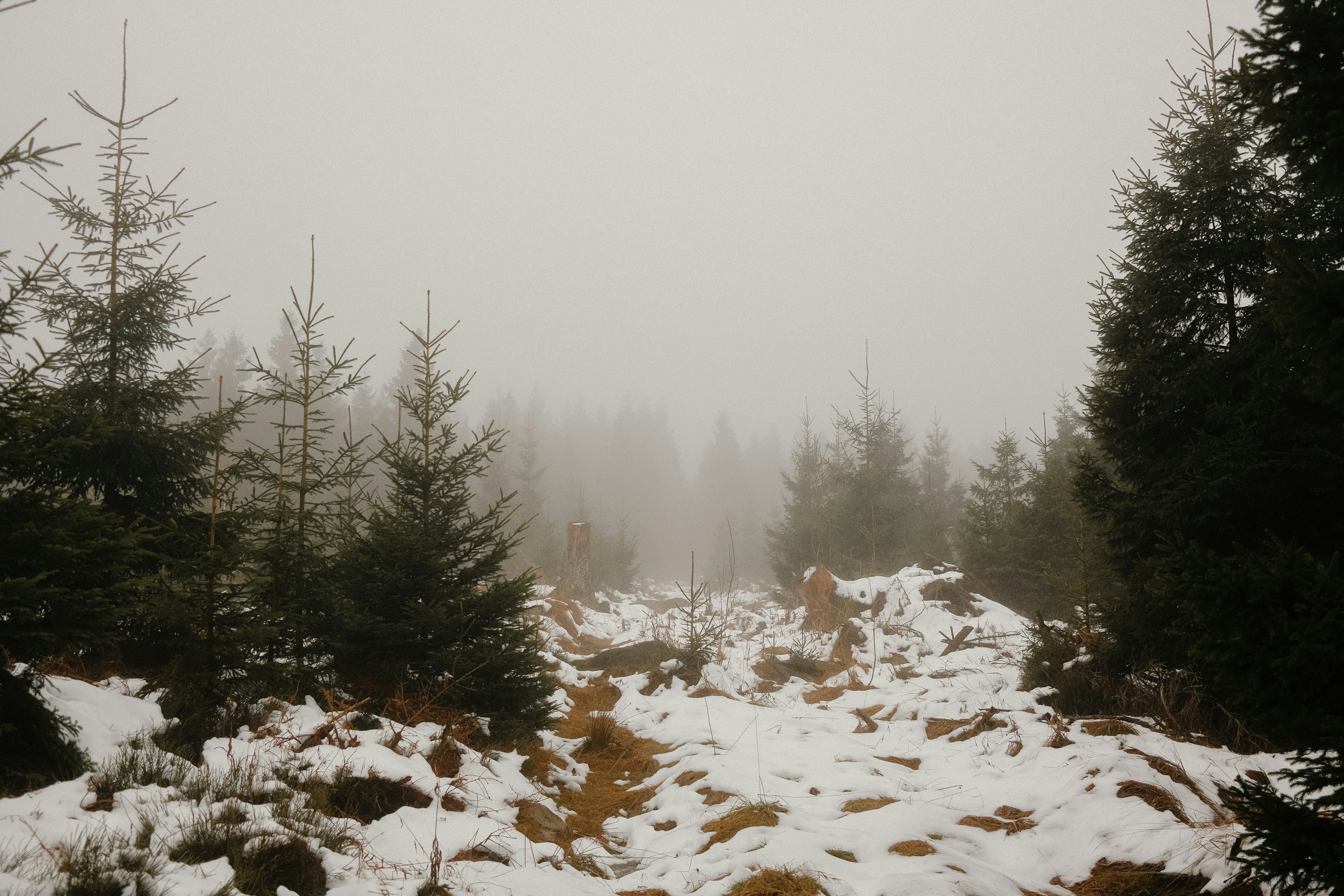 Photo by marinareich