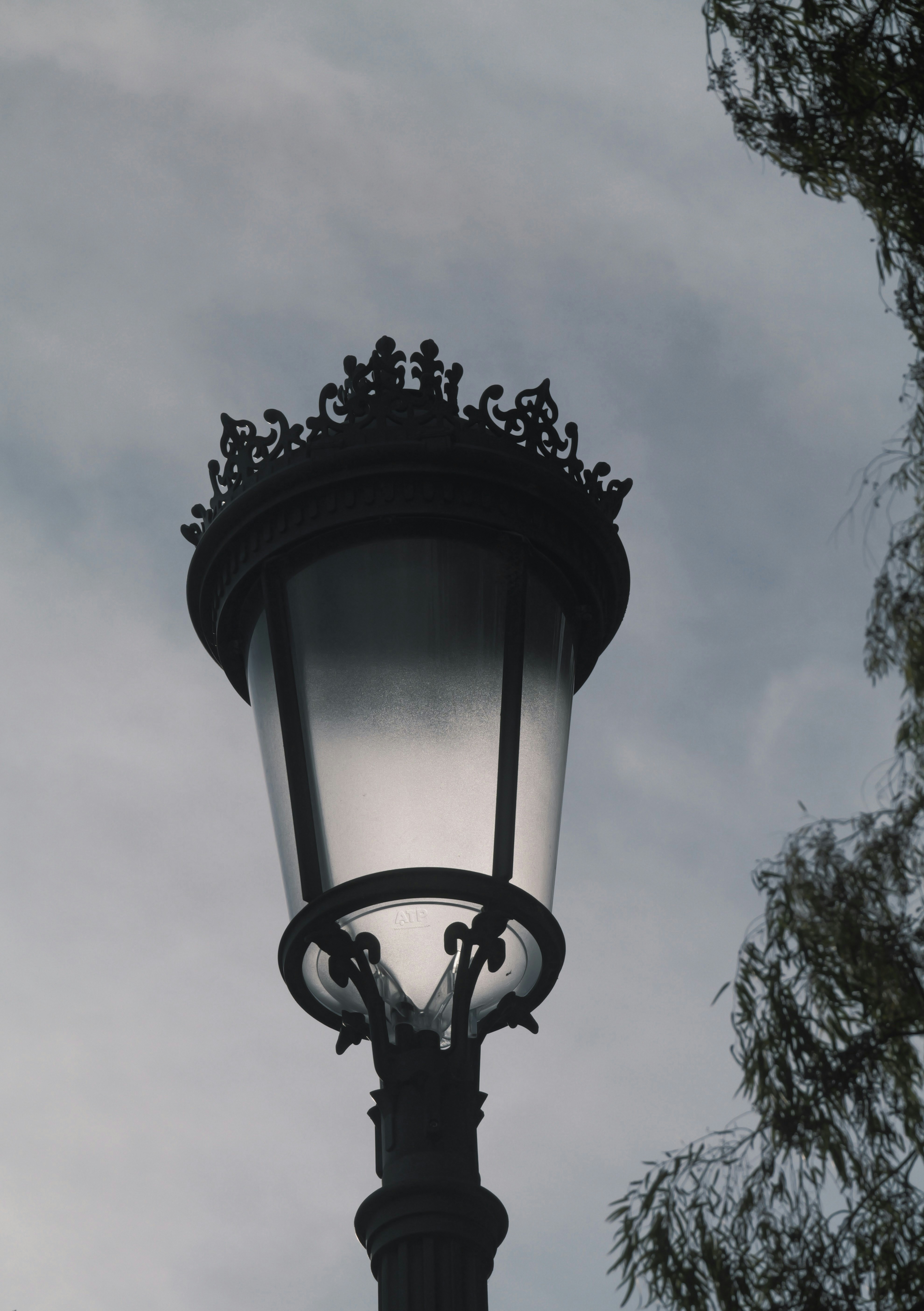 Photo by andrei_7654