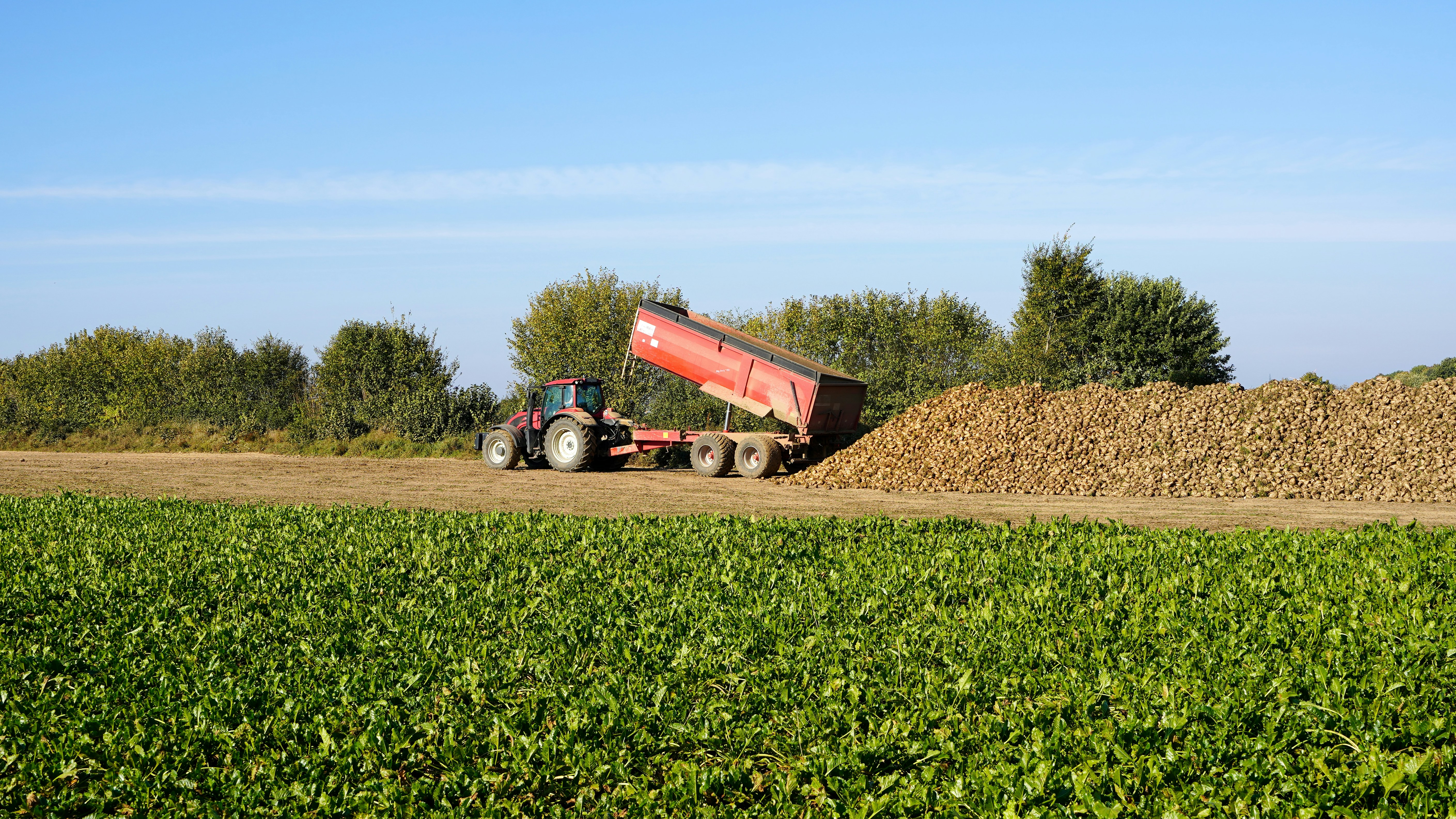 Photo by hamburgmeinefreundin