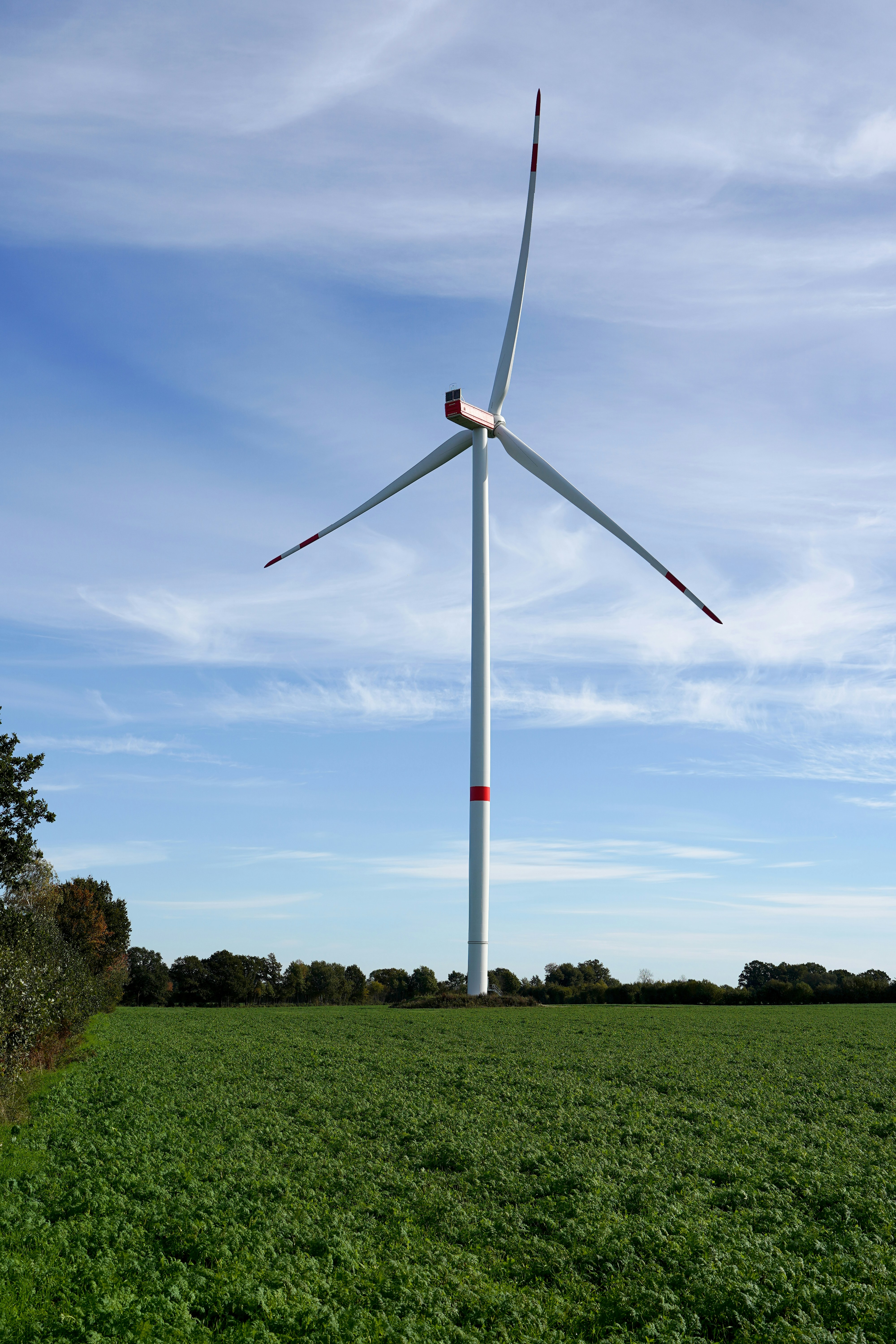 Photo by hamburgmeinefreundin