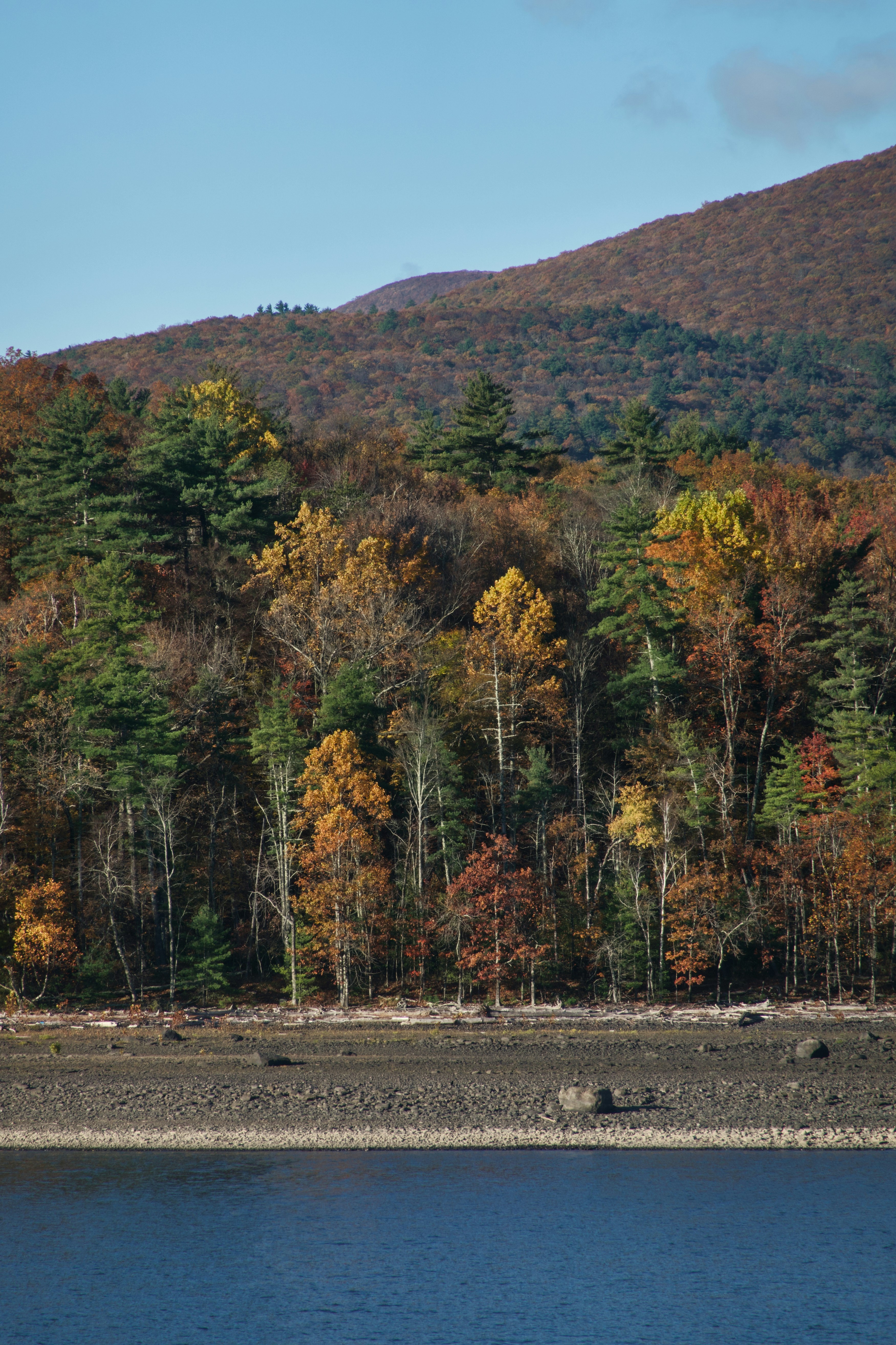 Autumn trees on a hillside overlooking water