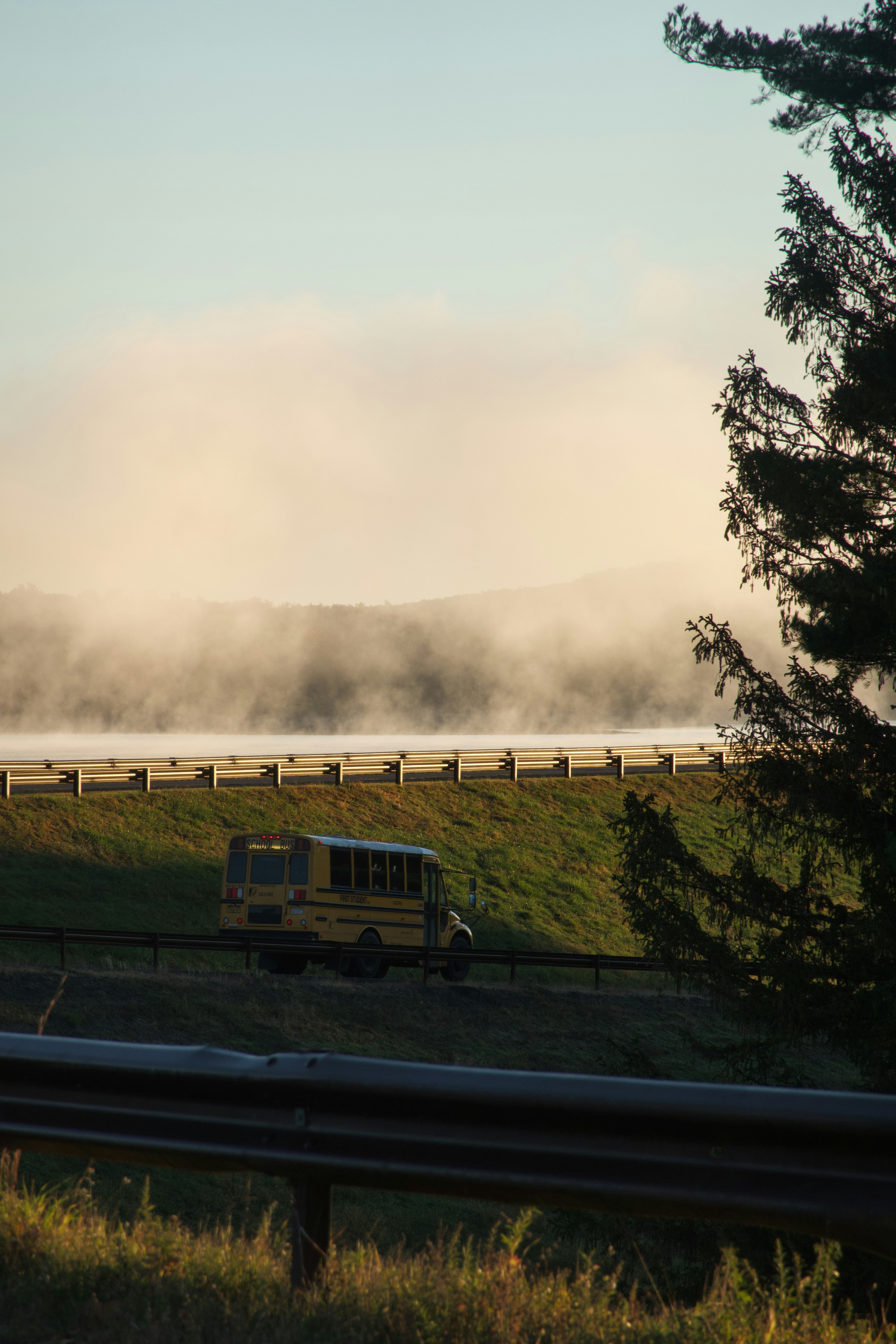 Yellow school bus driving on a misty road.